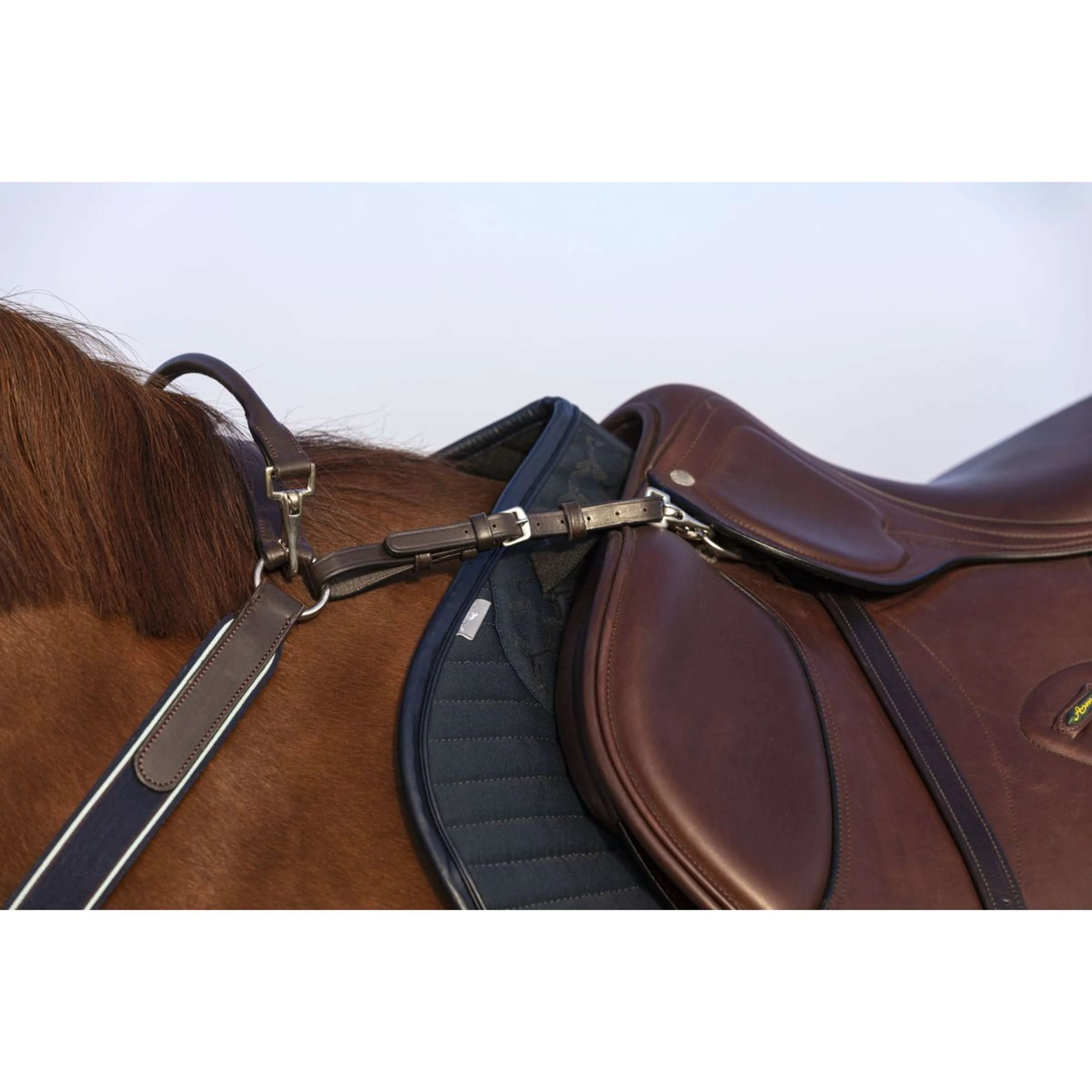 Horseware Micklem Collier de Chasse avec Martingale Marron - Image 3