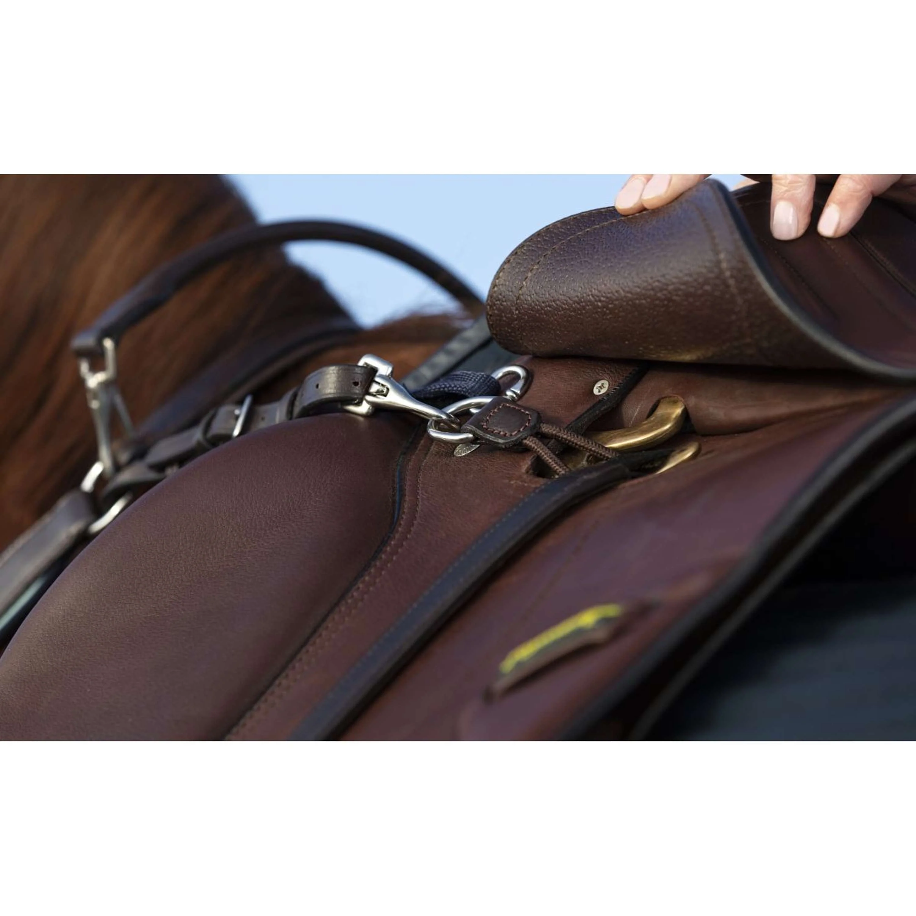 Horseware Micklem Collier de Chasse avec Martingale Marron - Image 4