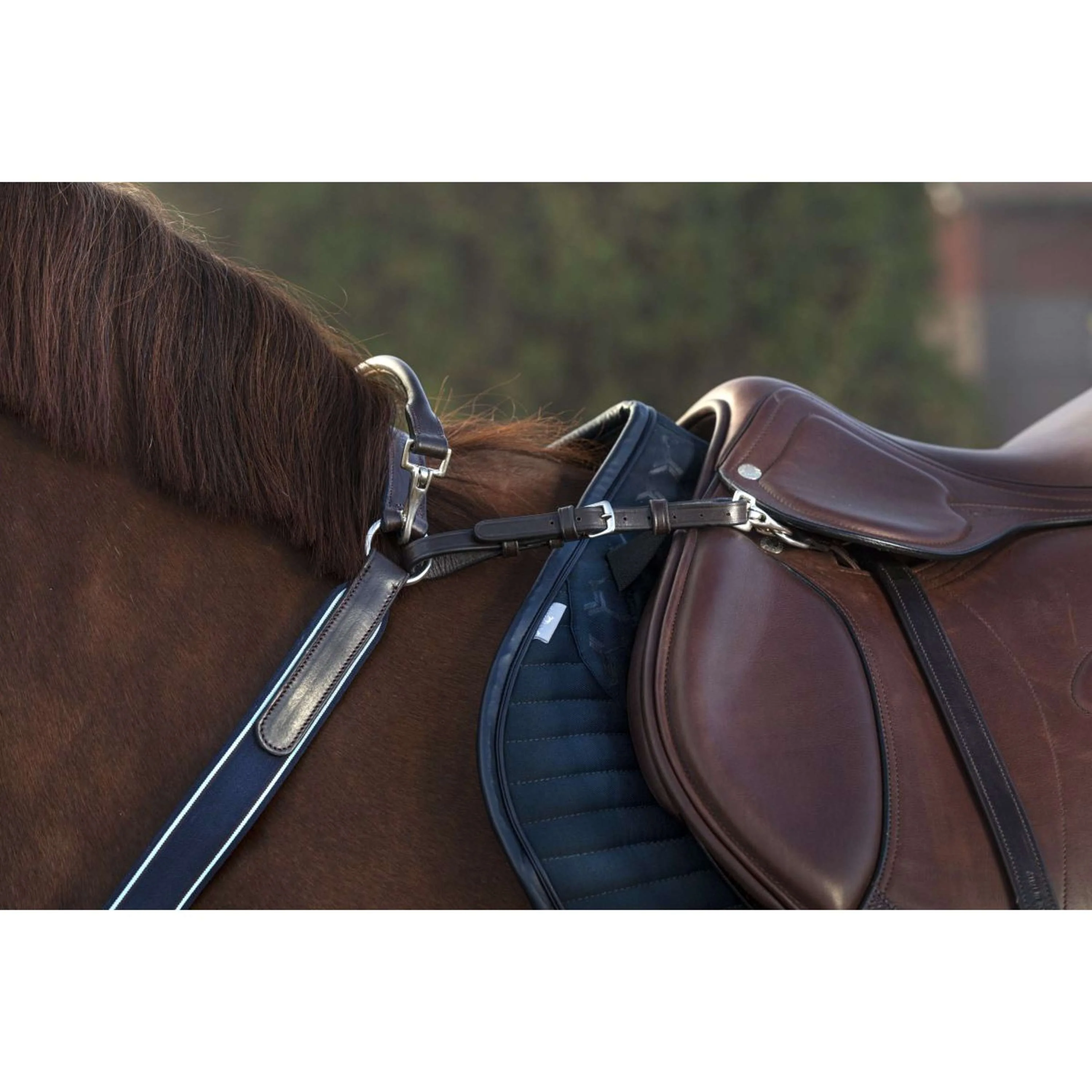 Horseware Micklem Collier de Chasse avec Martingale Marron - Image 6