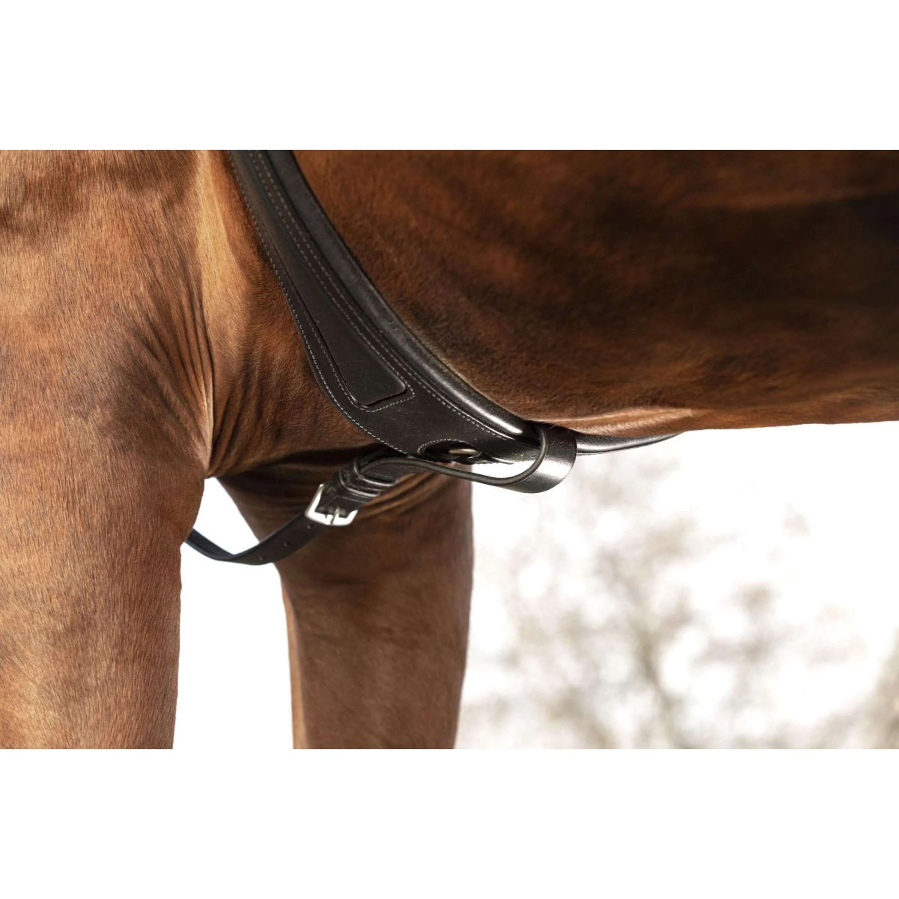 Horseware Micklem Collier de Chasse avec Martingale Noir - Image 3