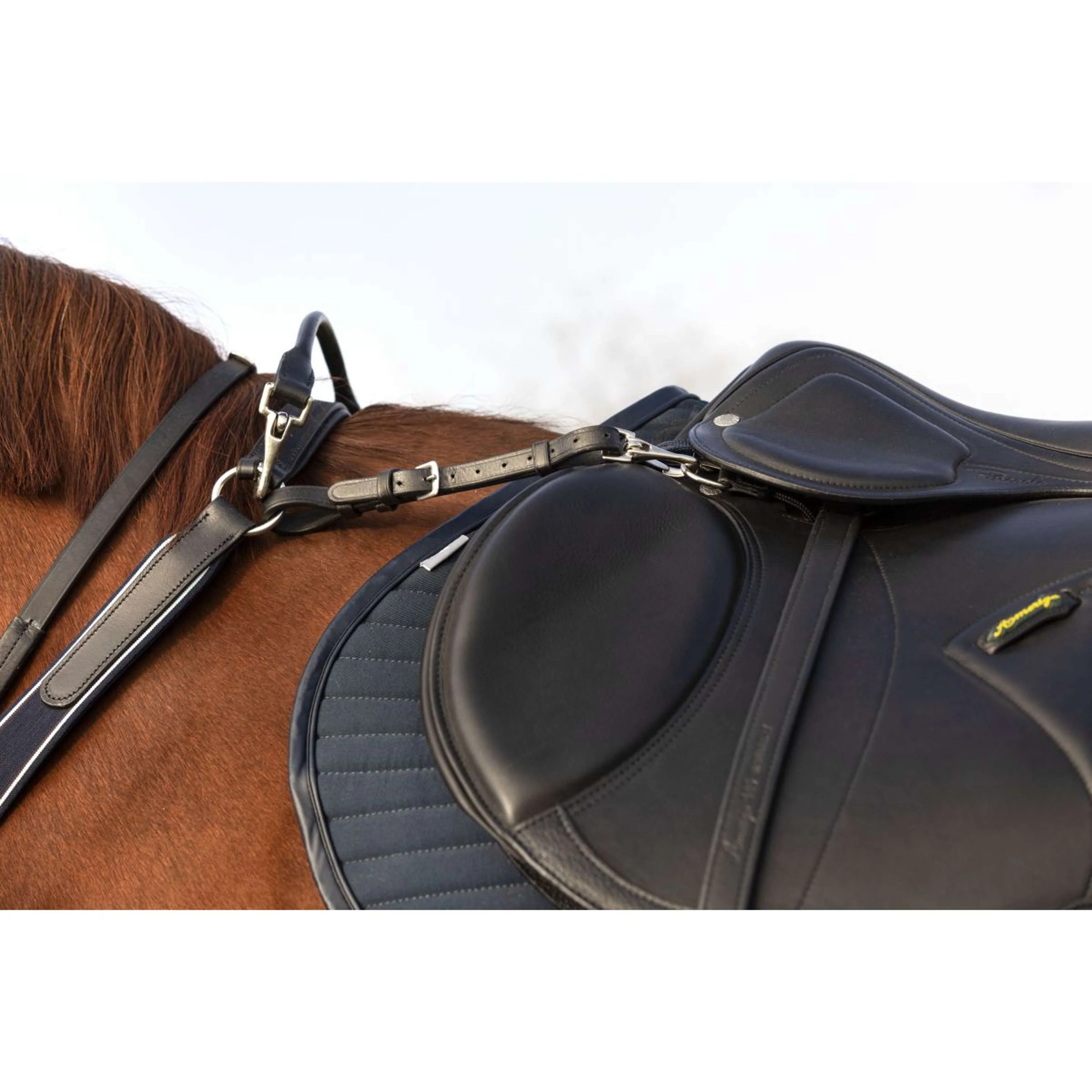 Horseware Micklem Collier de Chasse avec Martingale Noir - Image 4