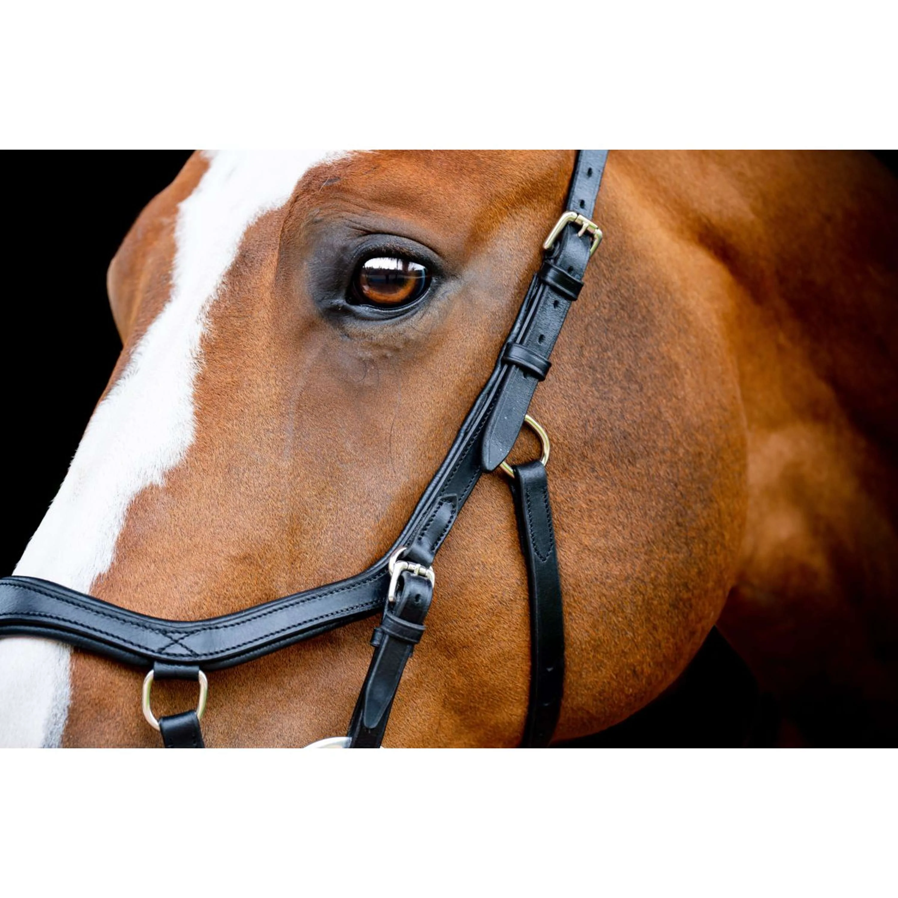 Horseware Micklem Competition Bridle Nouveau Noir - Image 2