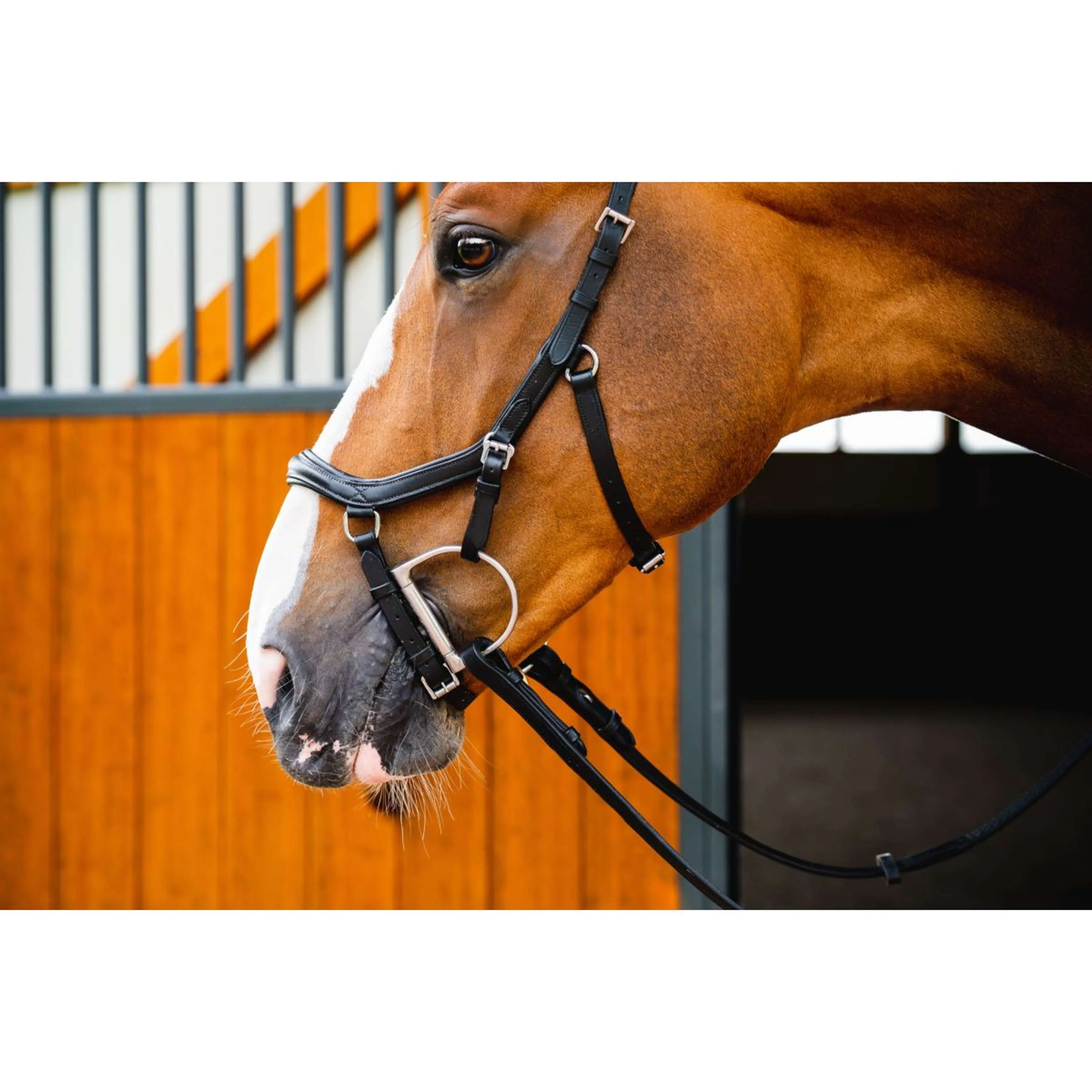 Horseware Micklem Diamond Competition Bridle Nouveau Noir - Image 2