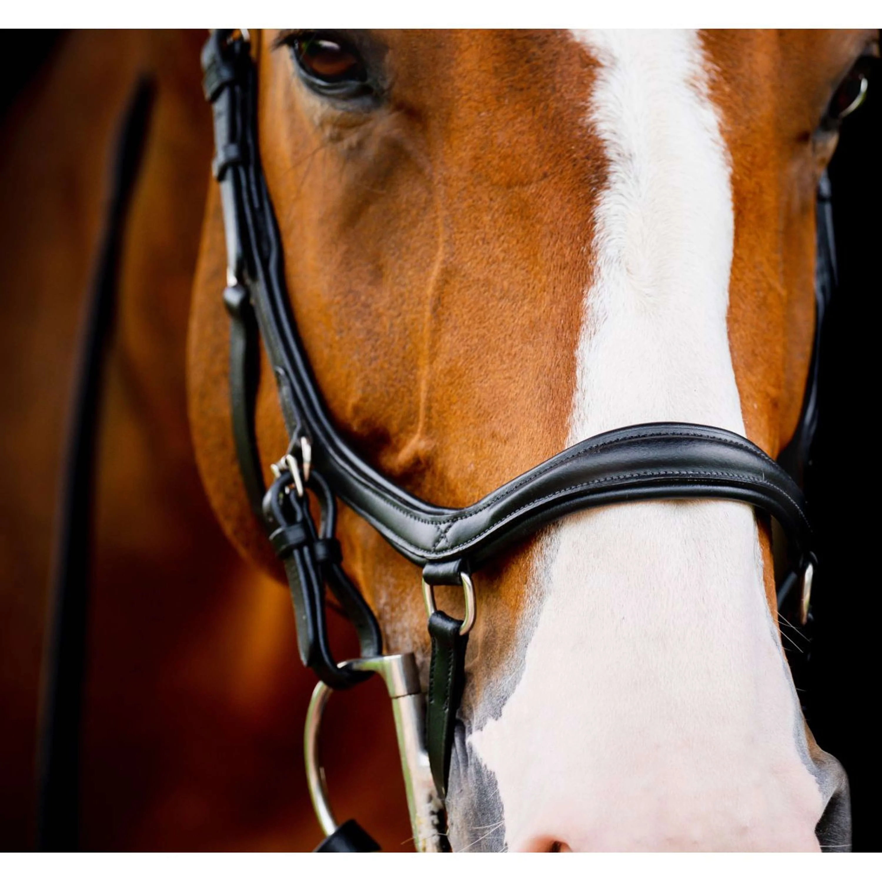 Horseware Micklem Diamond Competition Bridle Nouveau Noir - Image 3