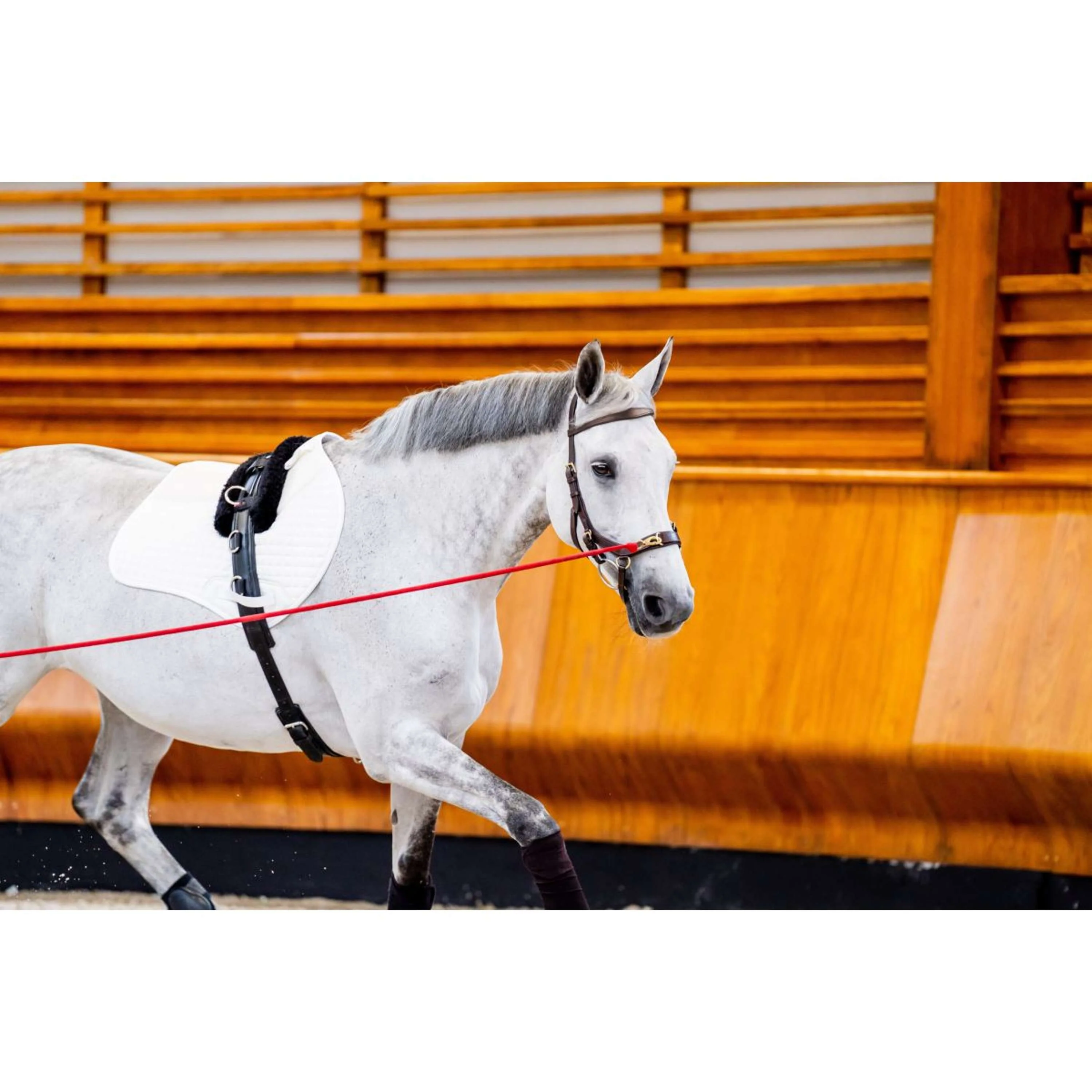 Horseware Micklem Multi Bridle Nouveau Dark Havana - Image 3