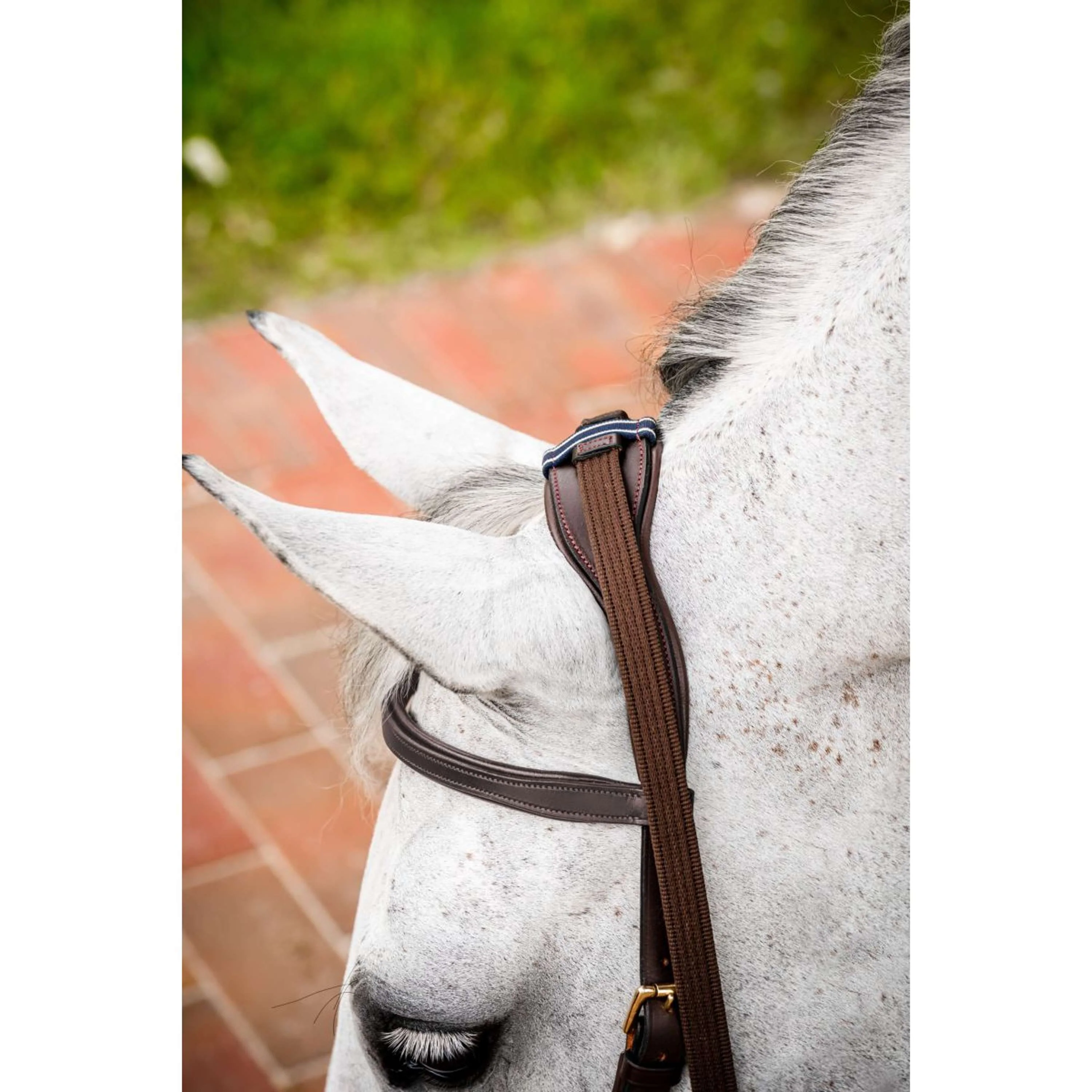 Horseware Micklem Multi Bridle Nouveau Dark Havana - Image 5