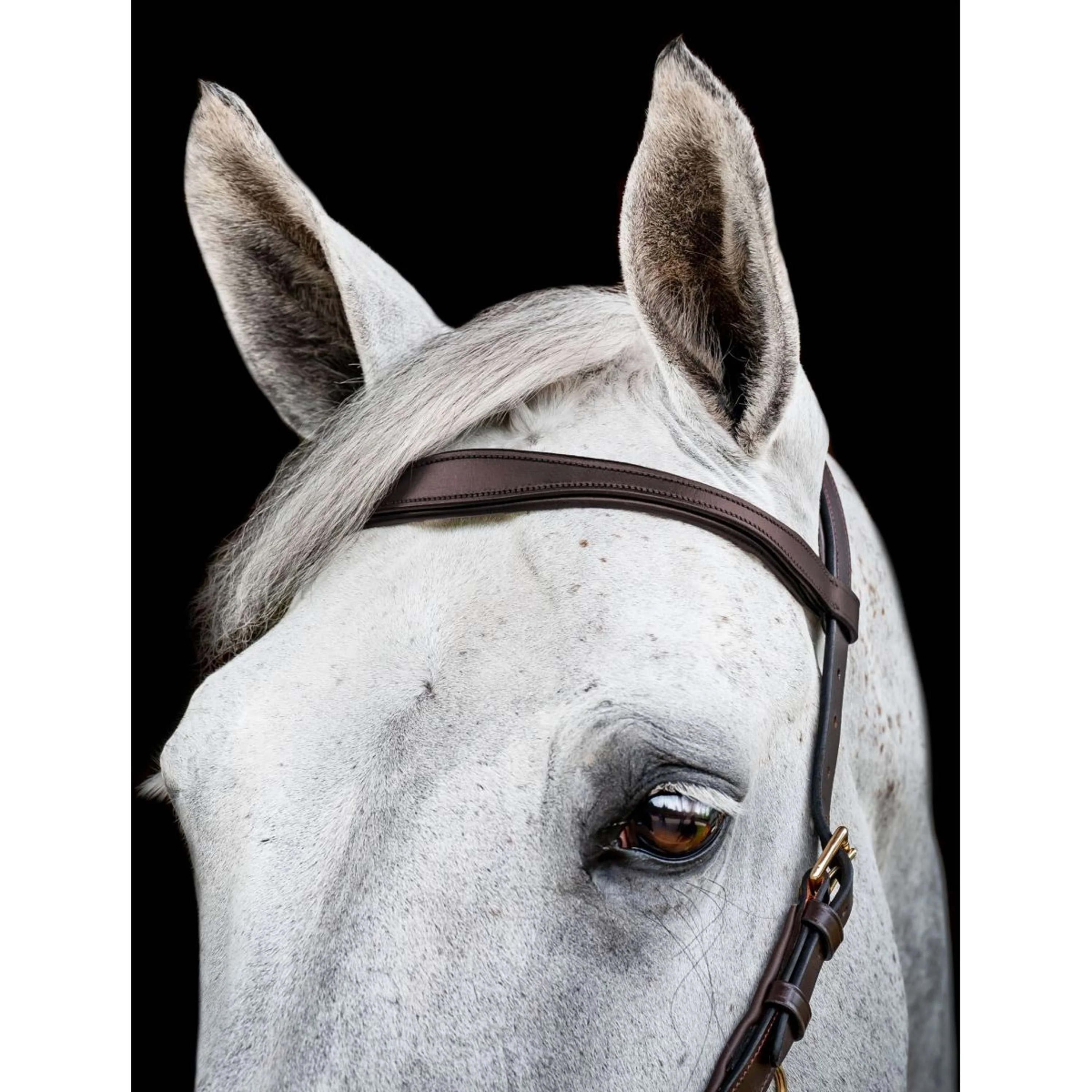 Horseware Micklem Multi Bridle Nouveau Dark Havana - Image 7