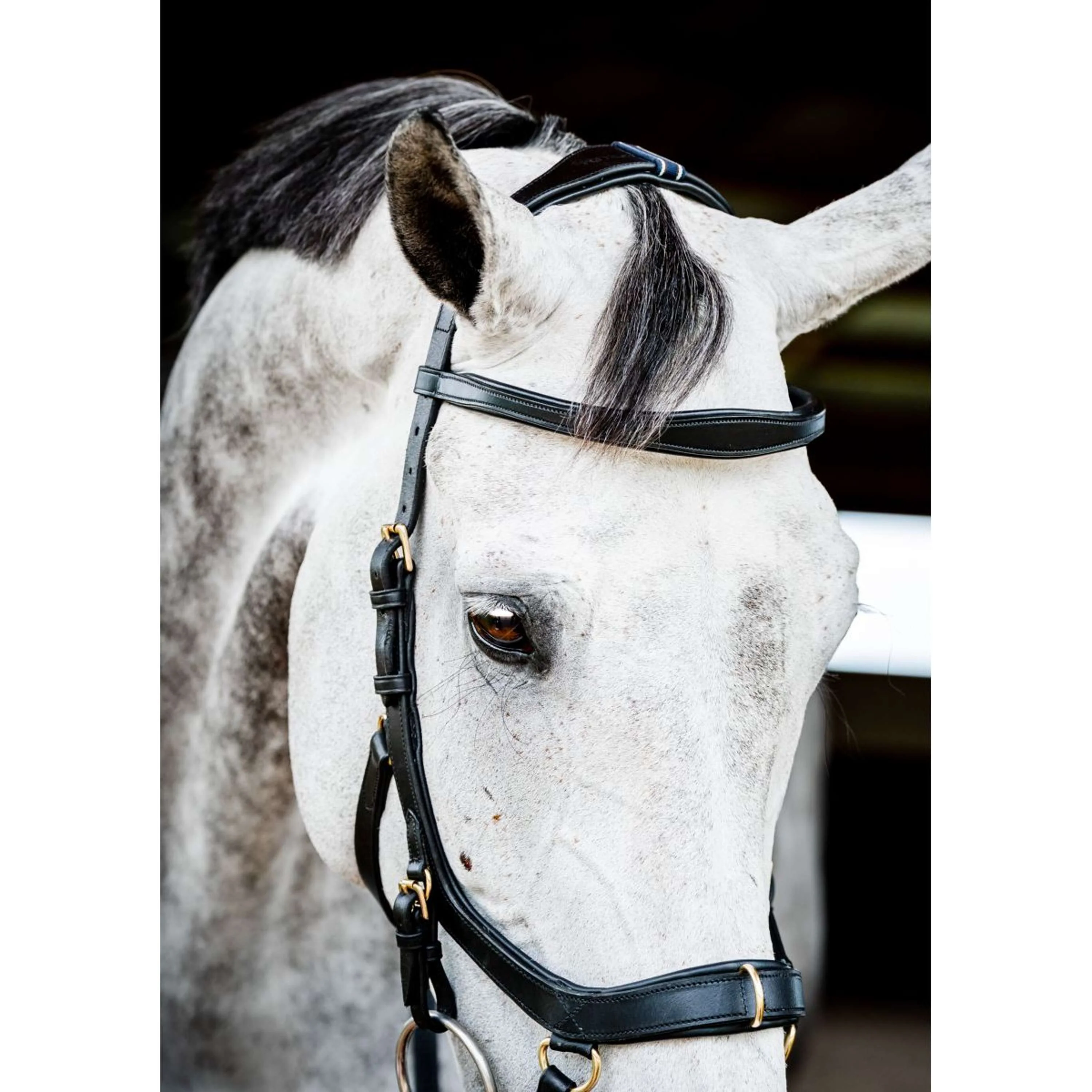 Horseware Micklem Multi Bridle Nouveau Noir - Image 2