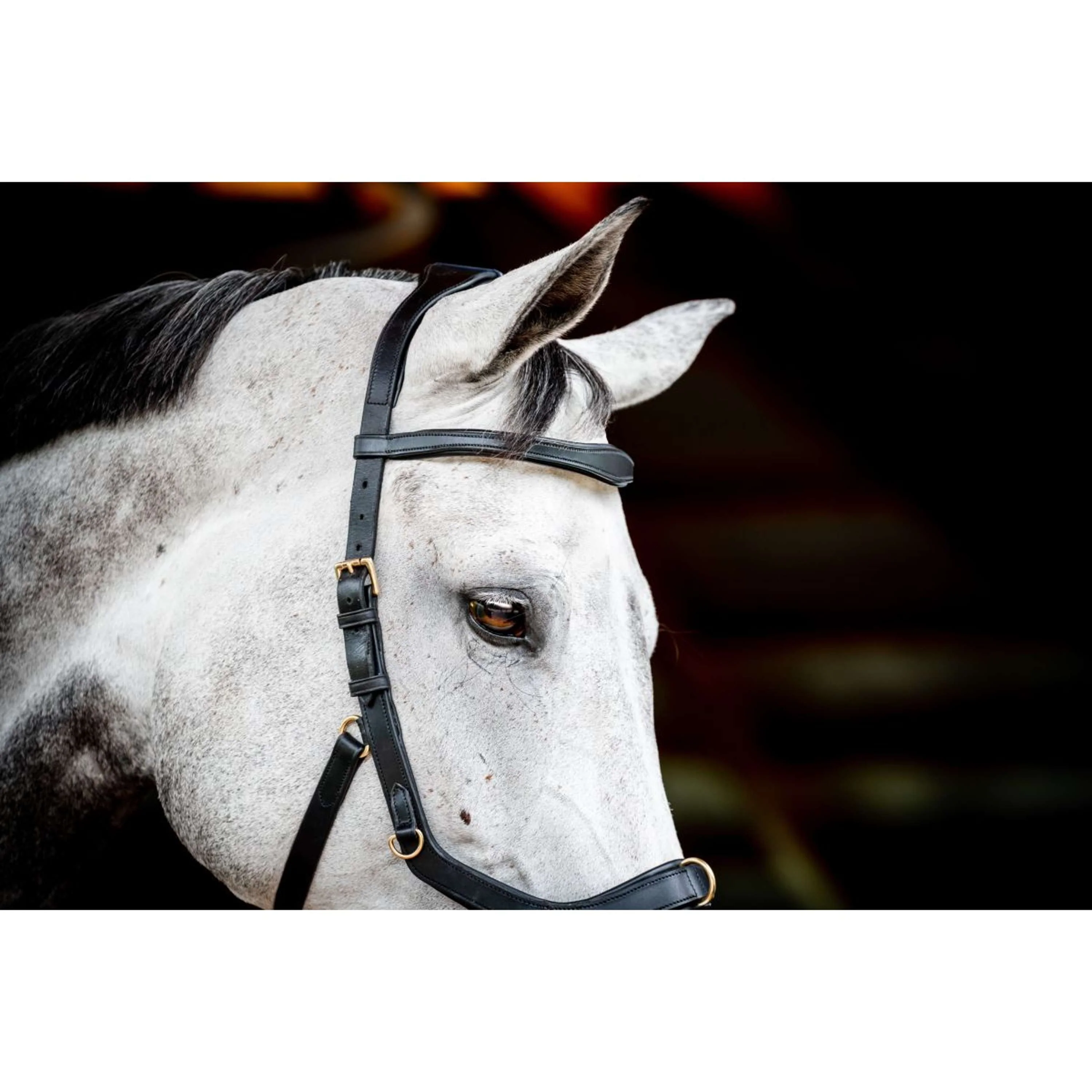 Horseware Micklem Multi Bridle Nouveau Noir - Image 3