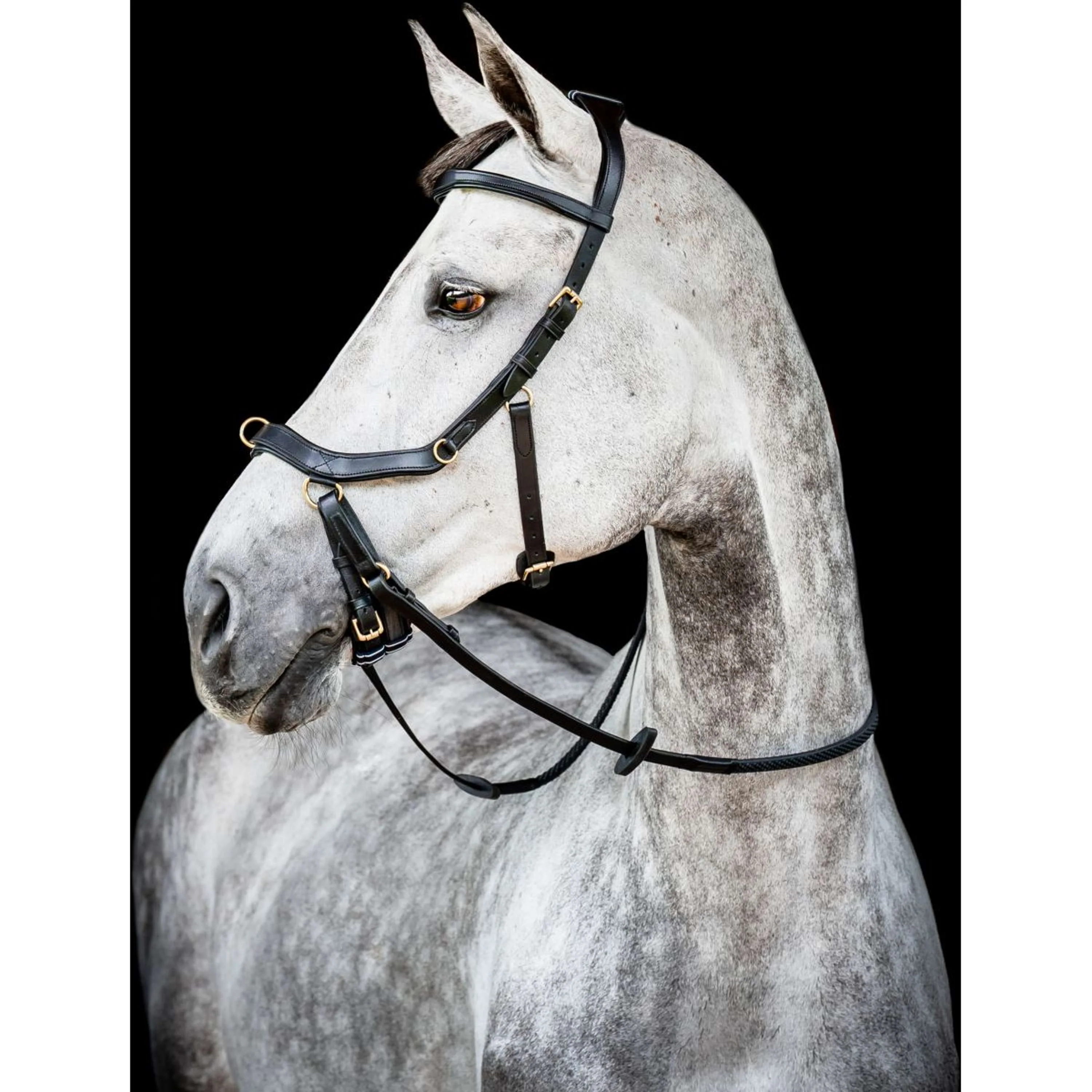 Horseware Micklem Multi Bridle Nouveau Noir - Image 4