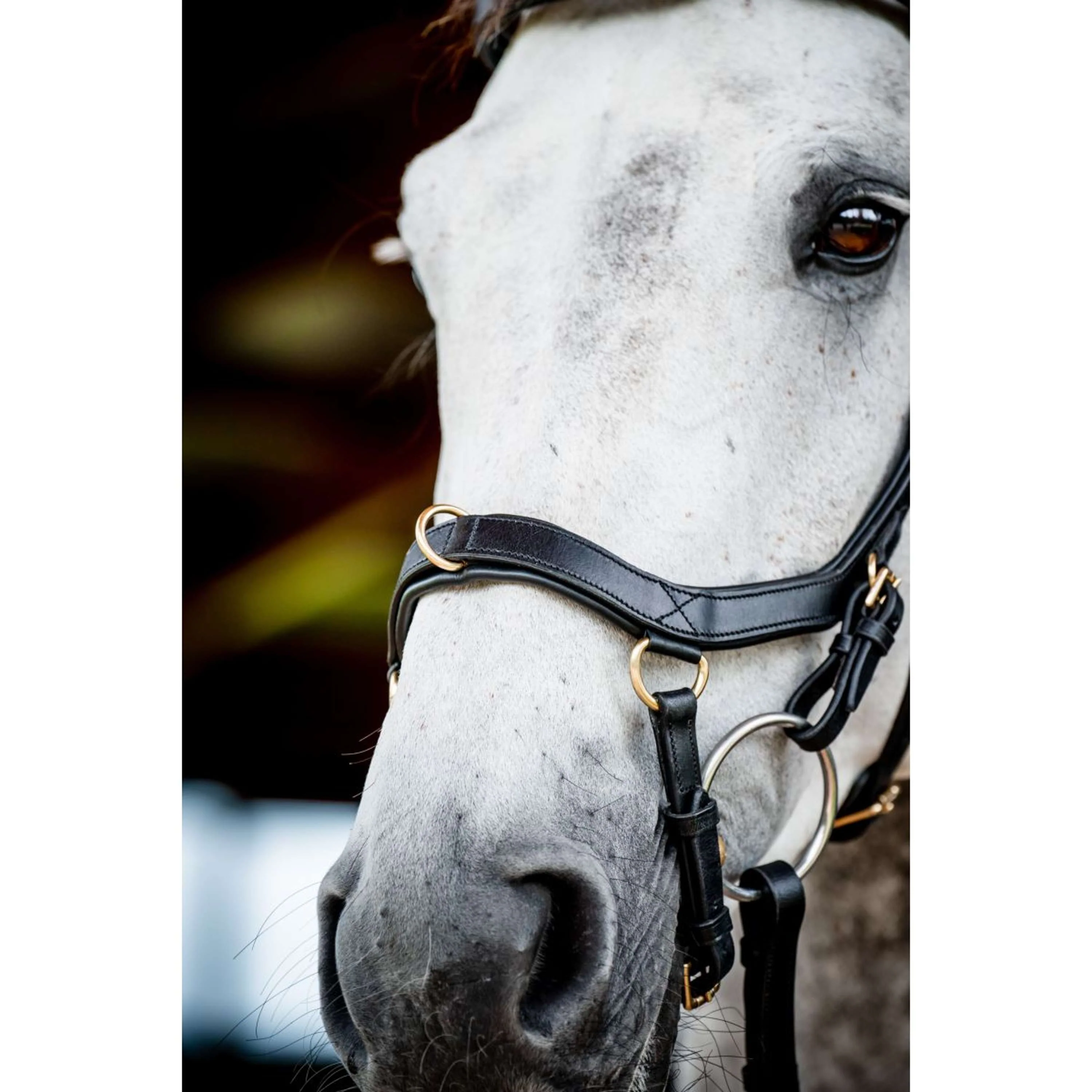 Horseware Micklem Multi Bridle Nouveau Noir - Image 6