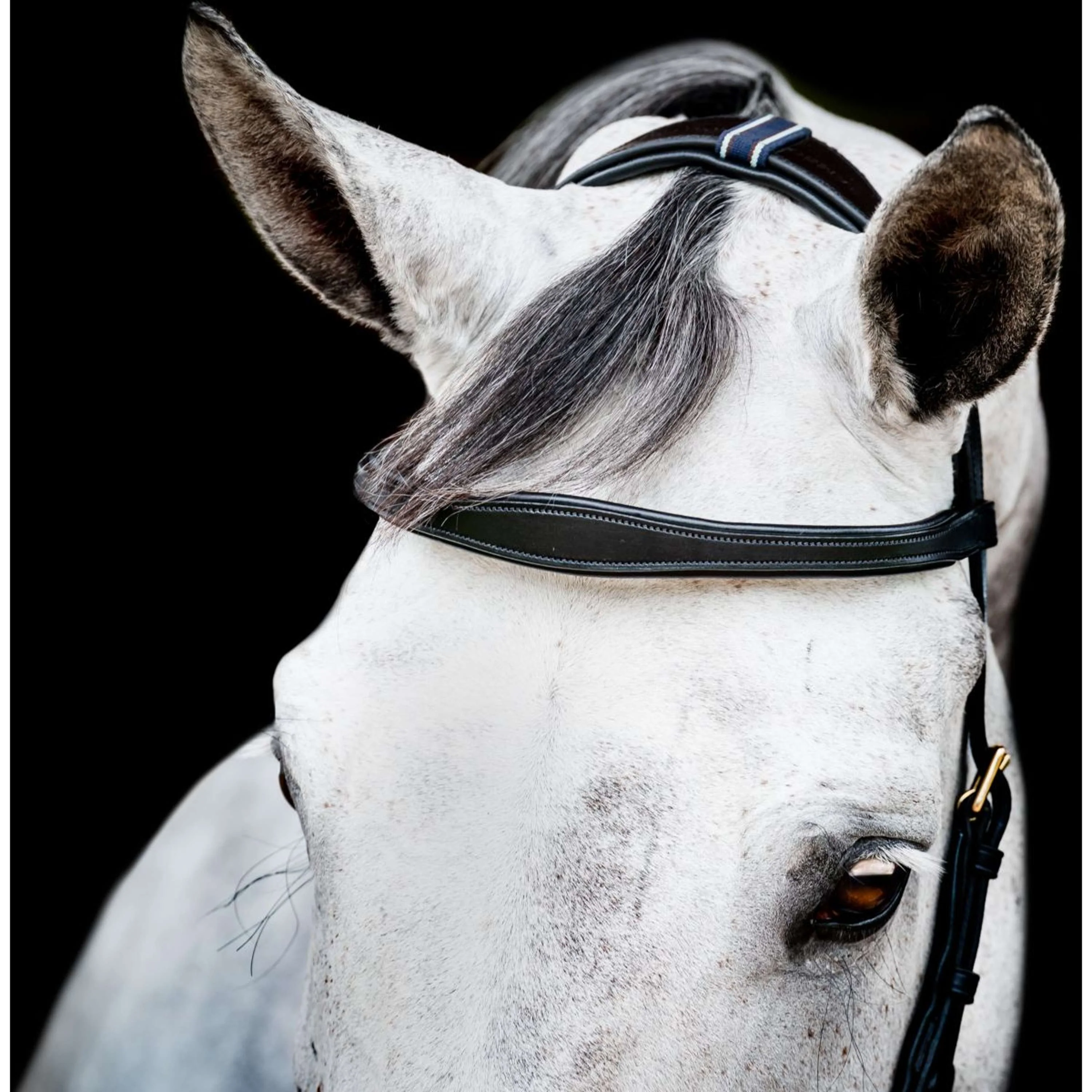 Horseware Micklem Multi Bridle Nouveau Noir - Image 7