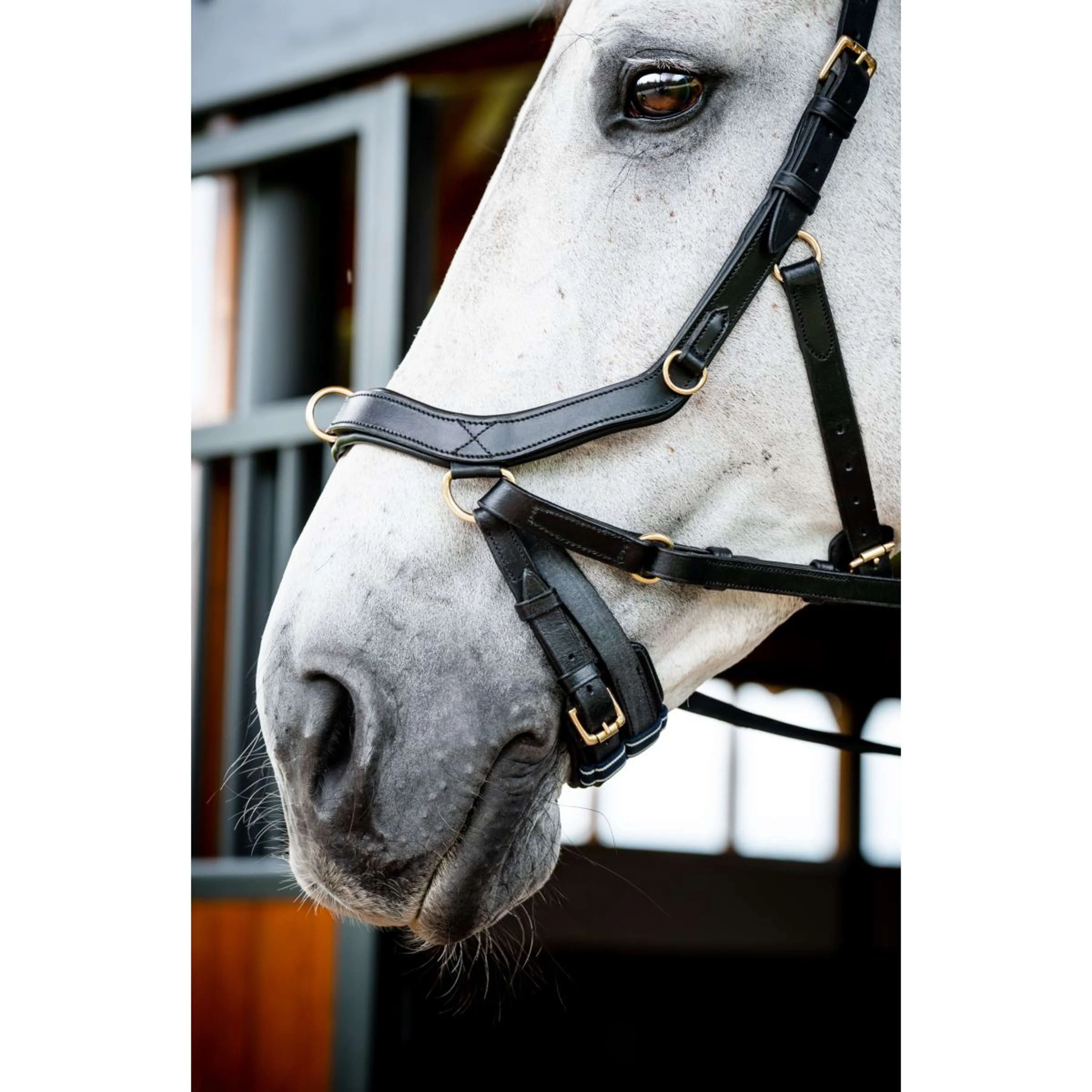 Horseware Micklem Multi Bridle Nouveau Noir - Image 8