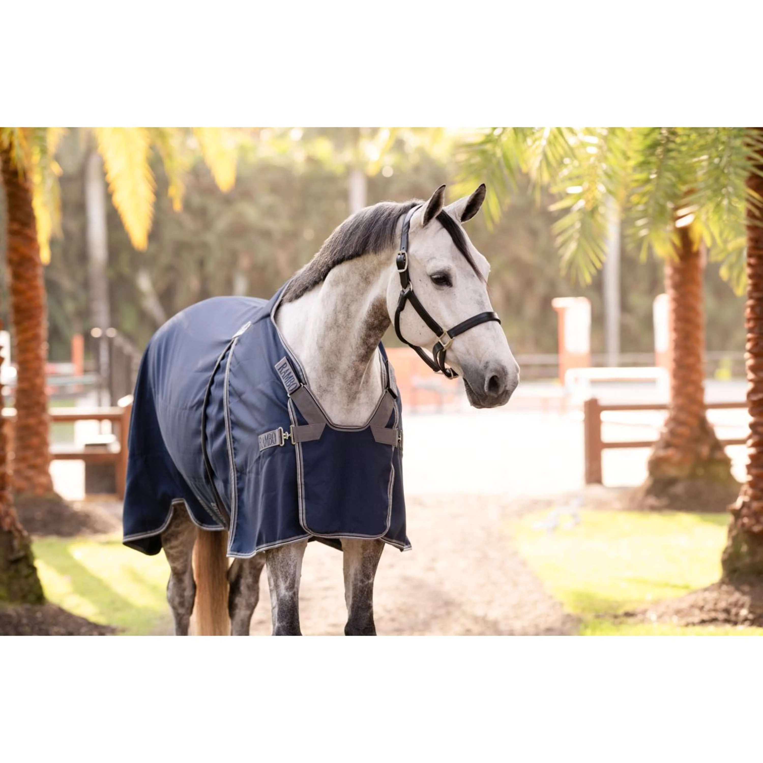 Rambo Optimo Couverture d'Écurie New Navy/Thunderstorm Grey/Silver - Image 3