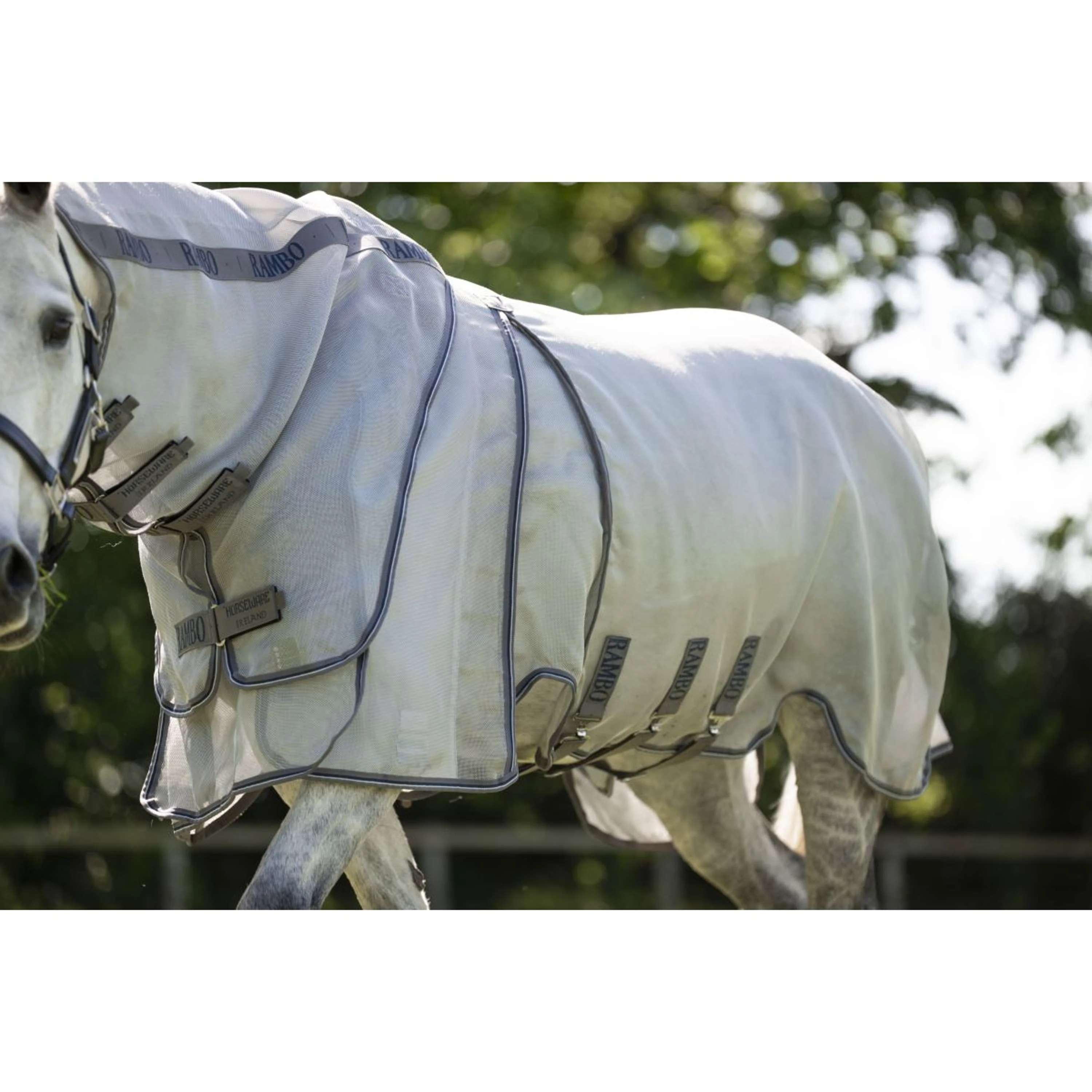 Rambo Optimo Protector Plus Silver/Thunderstorm Grey/Silver - Image 4
