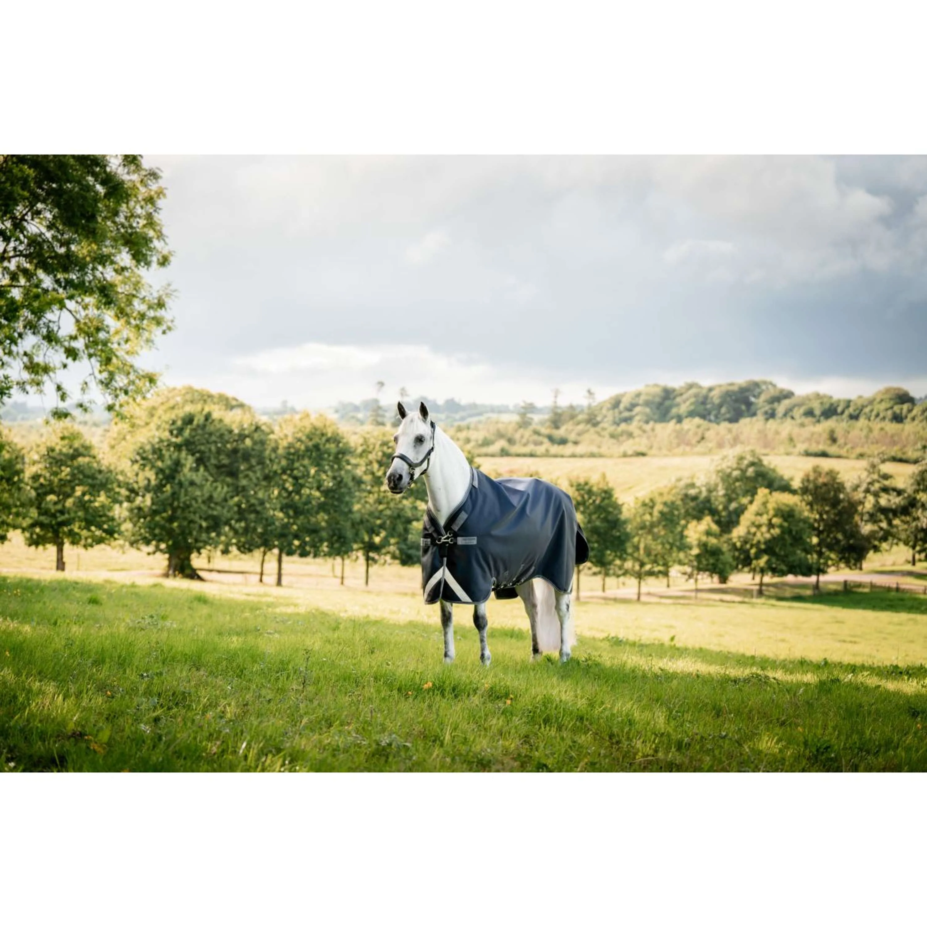 Rambo Turnout Rug 1680D Varilayer 250g Navy/Thunderstorm Grey/Silver - Image 7