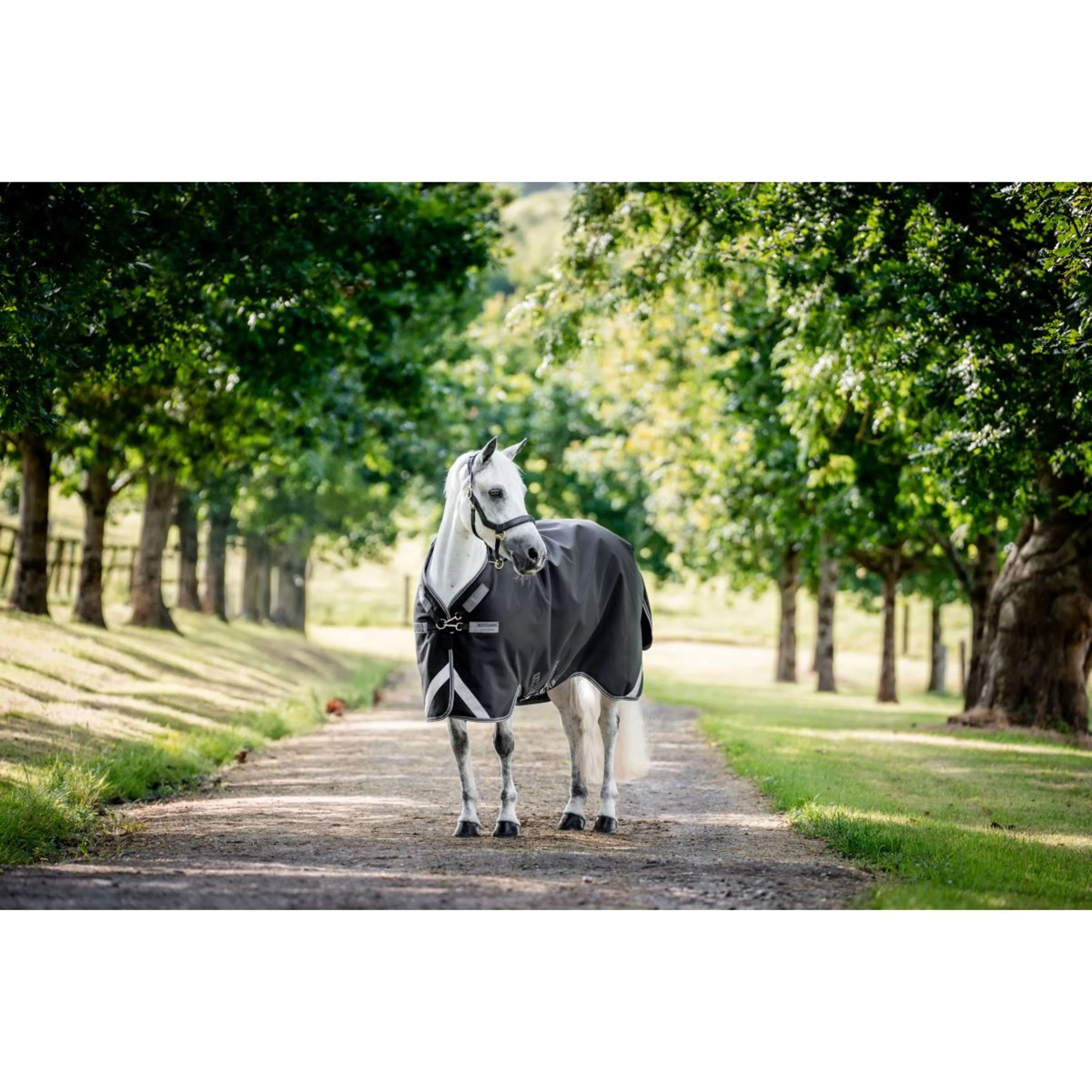 Rambo Turnout Rug 1680D Varilayer 250g Black/Thunderstorm Grey/Silver - Image 8