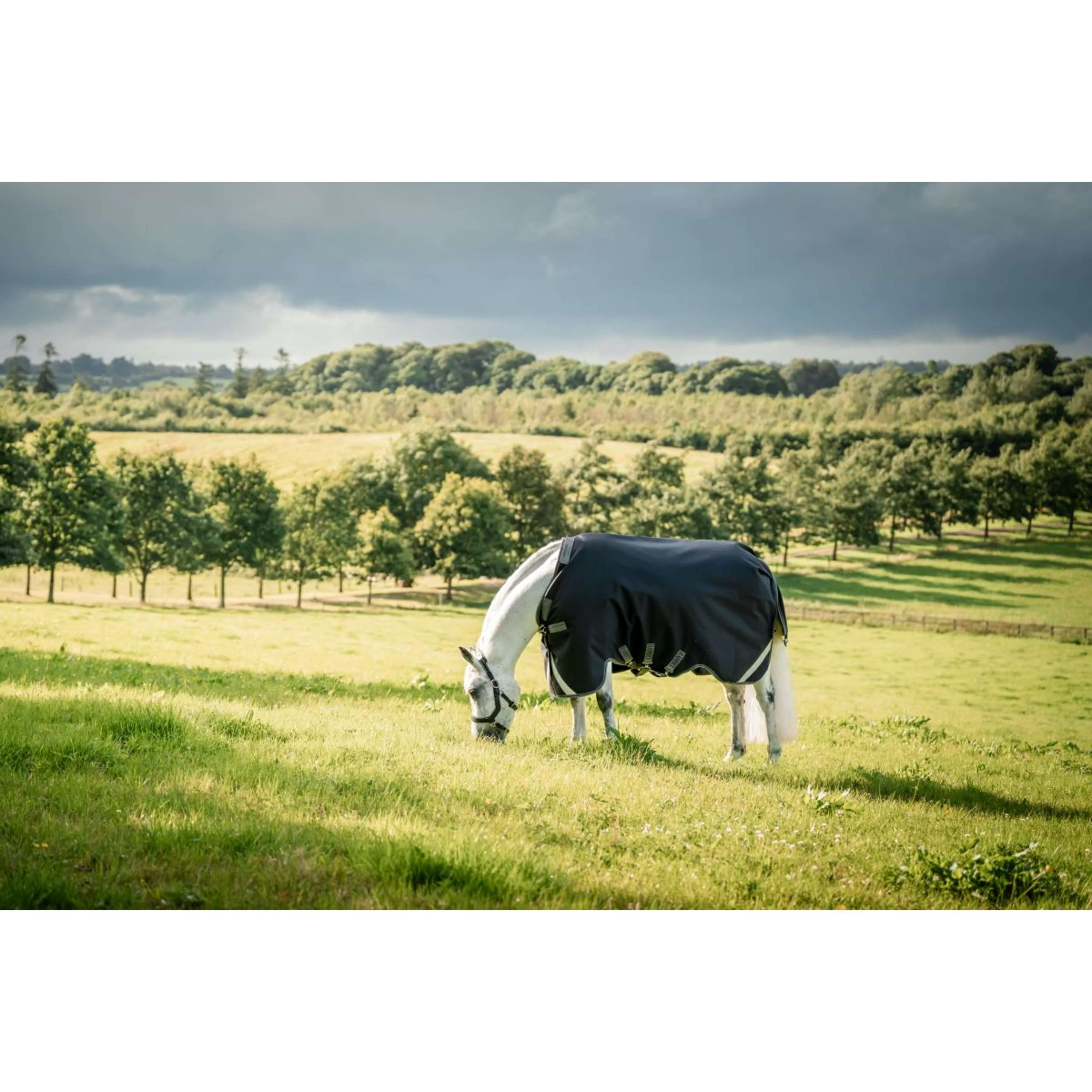 Rambo Turnout Rug 1680D Varilayer 450g Black/Thunderstorm Grey/Silver - Image 5