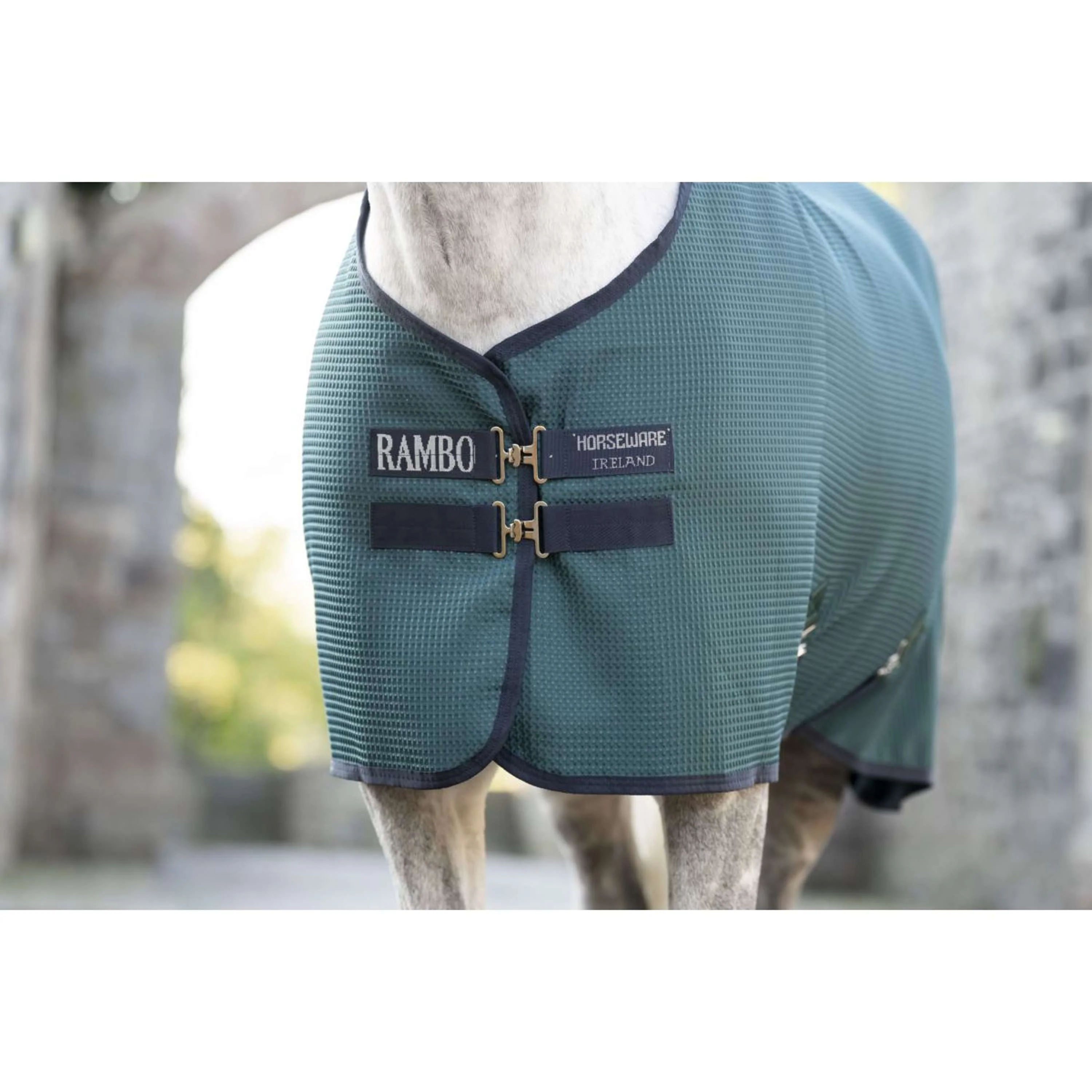 Rambo Waffle Cooler Techni Dynasty Green/Navy/Silver - Image 2
