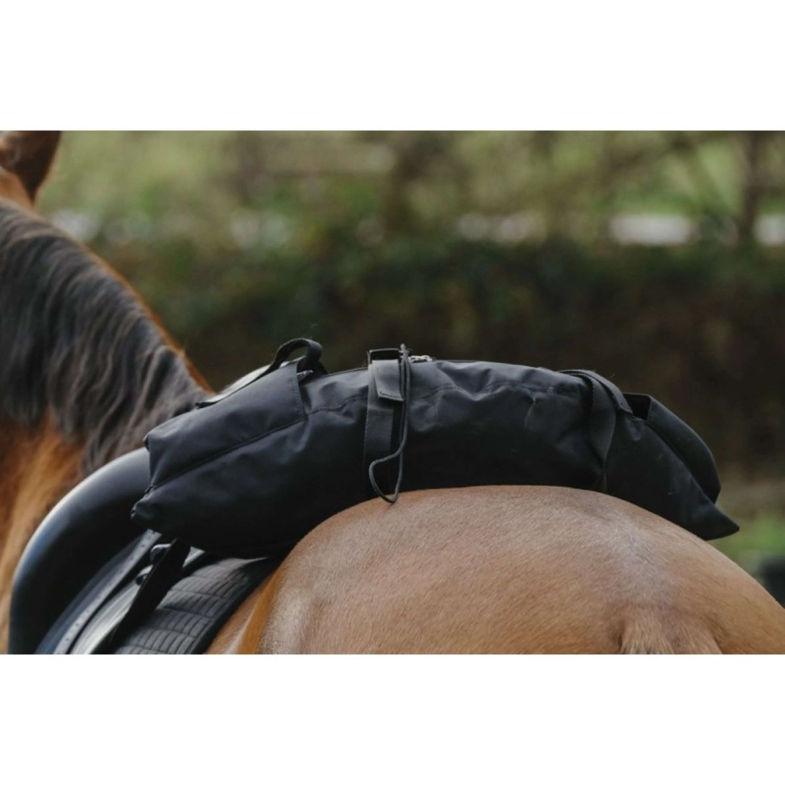 Randol's Sacoche de Selle Banana Noir - Image 2