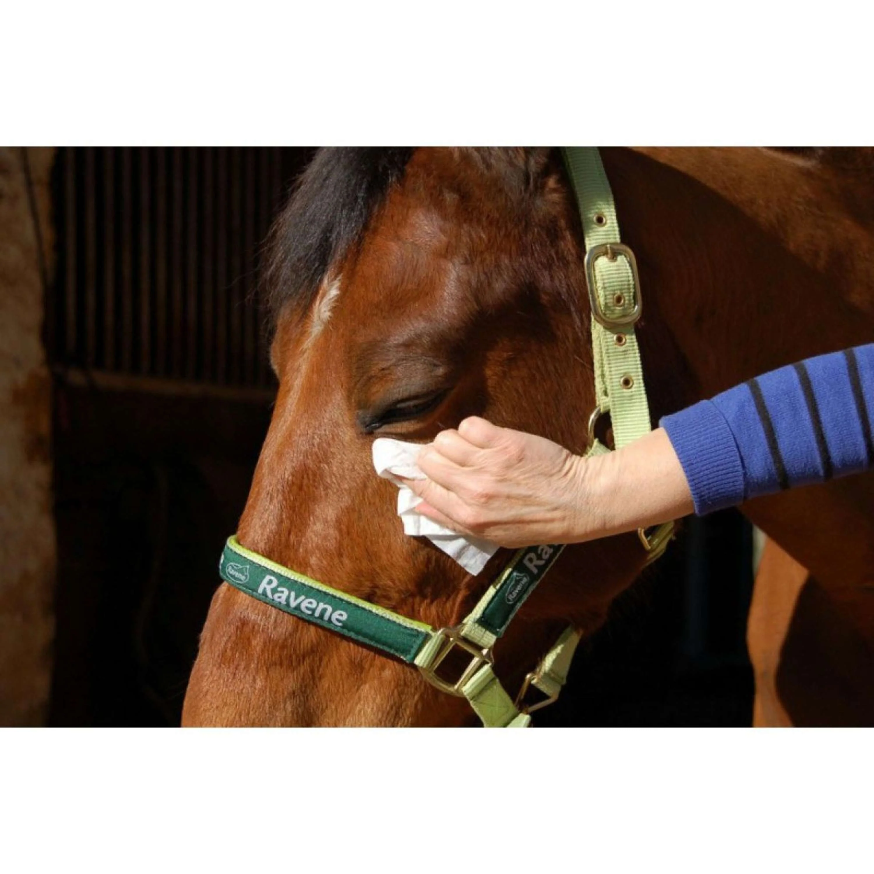 Ravene Easy Shine Lingettes - Image 2