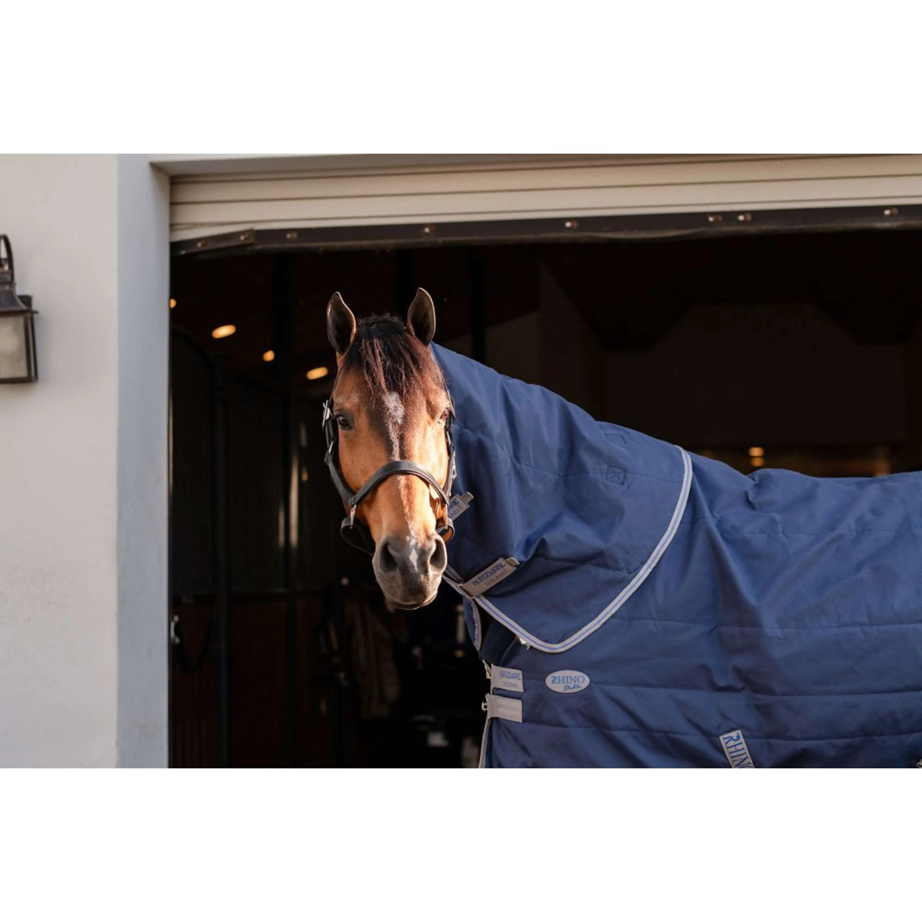 Rhino Couvre-Cou Stable 200g Navy/Titanium Grey/Classic Blue - Image 3