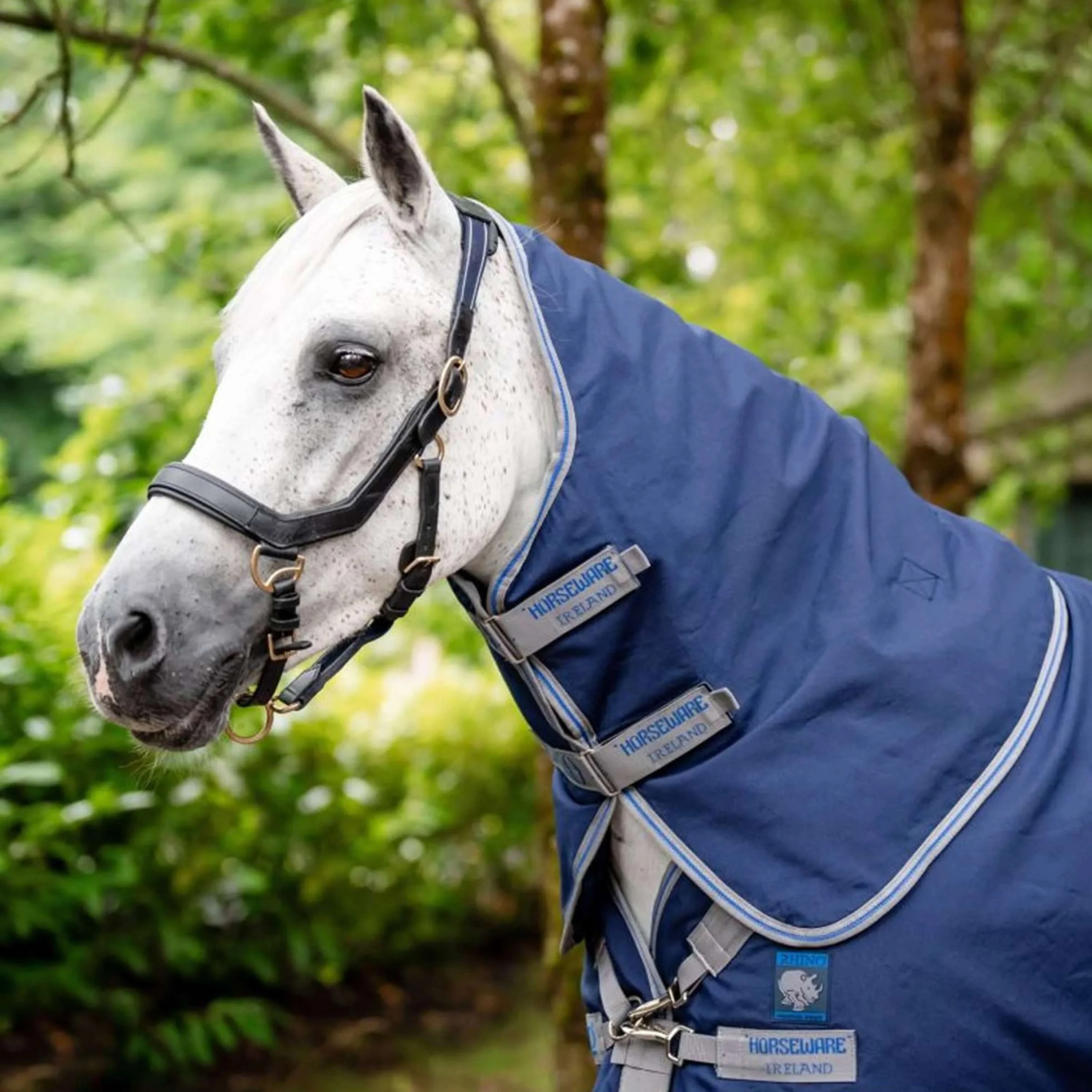 Rhino Pony Plus Lite 0g Navy/Titanium Grey - Image 4