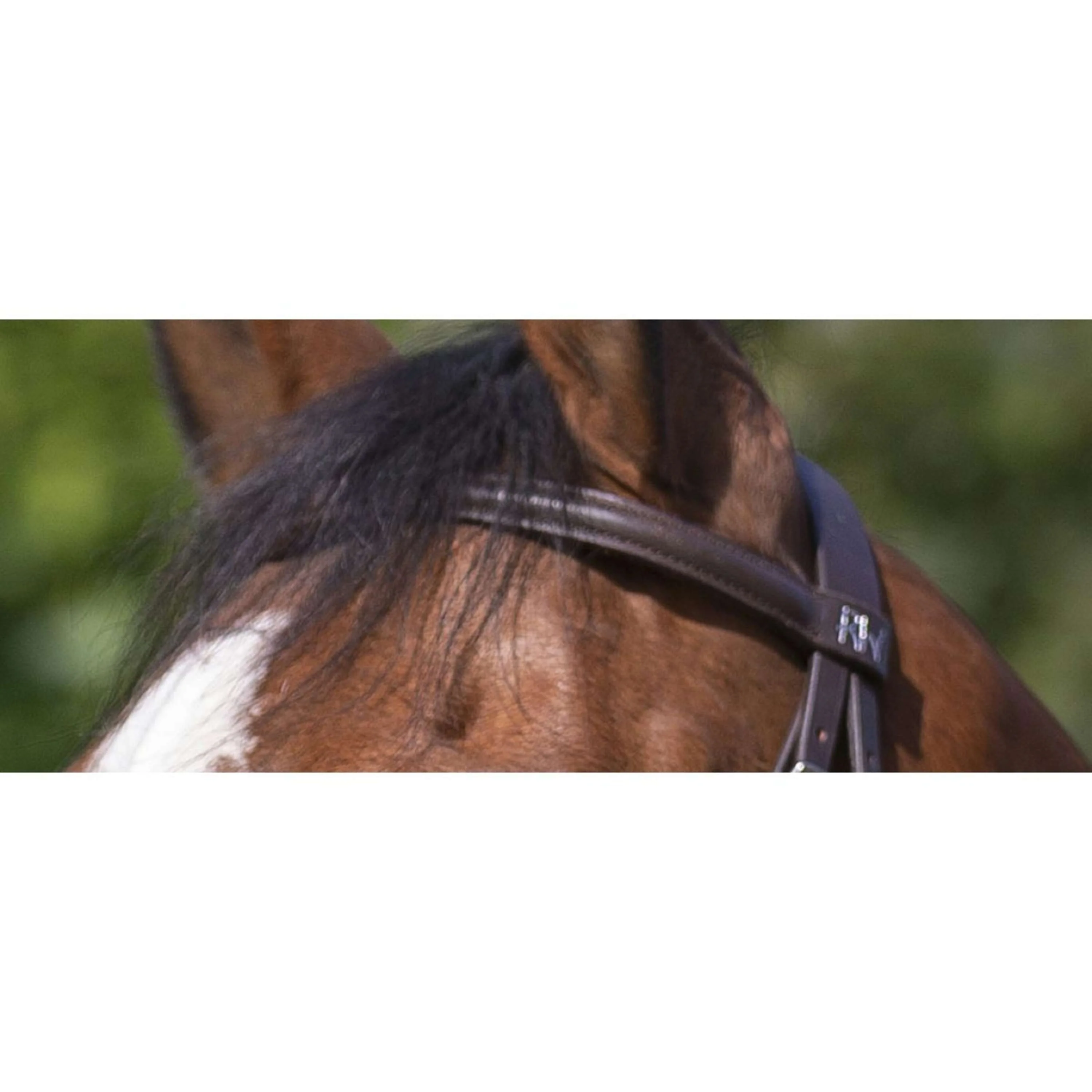 Riding World Bride avec Muserolle Combinée Havane - Image 4