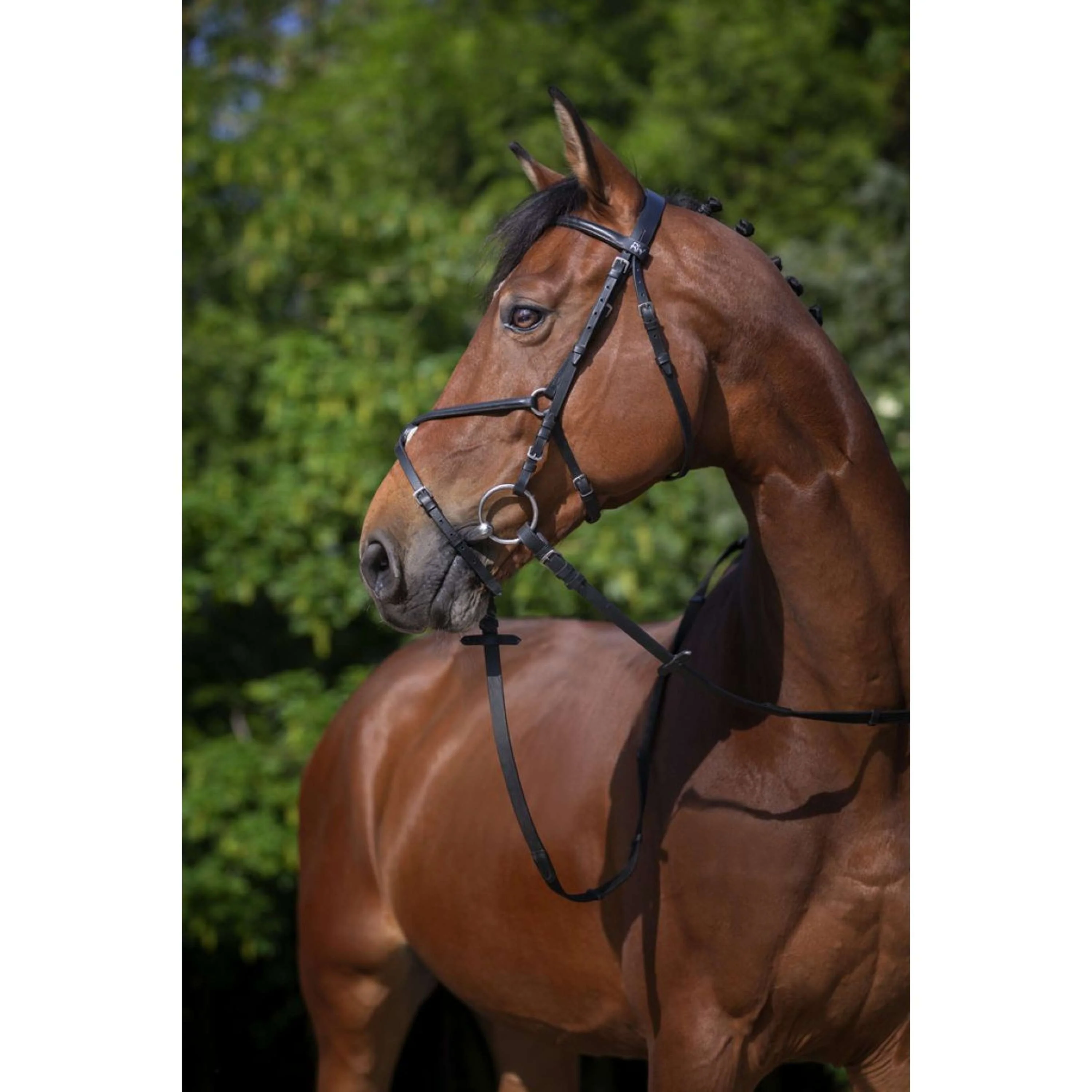 Riding World Bride avec Muserolle Mexicaine Noir - Image 2