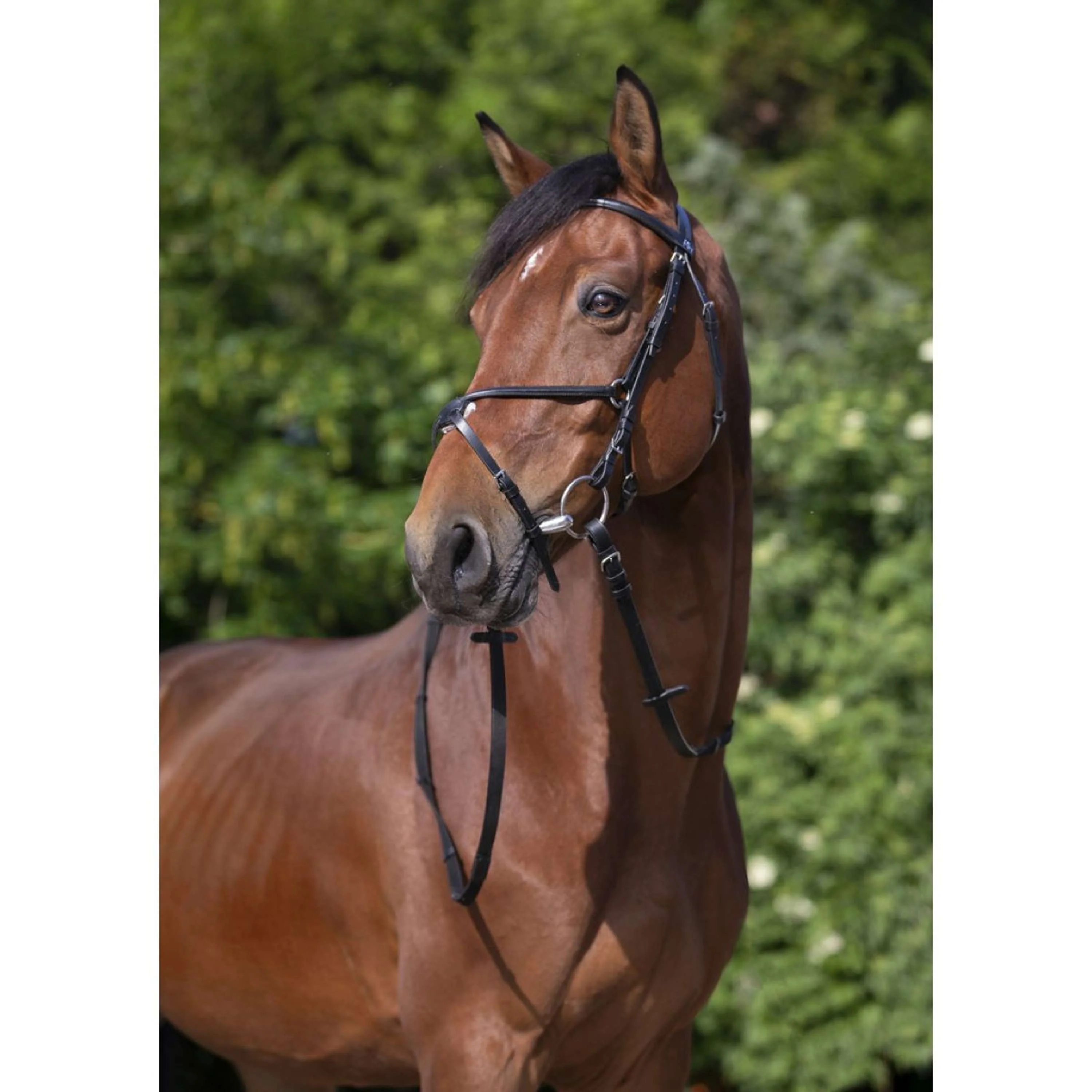 Riding World Bride avec Muserolle Mexicaine Noir - Image 3