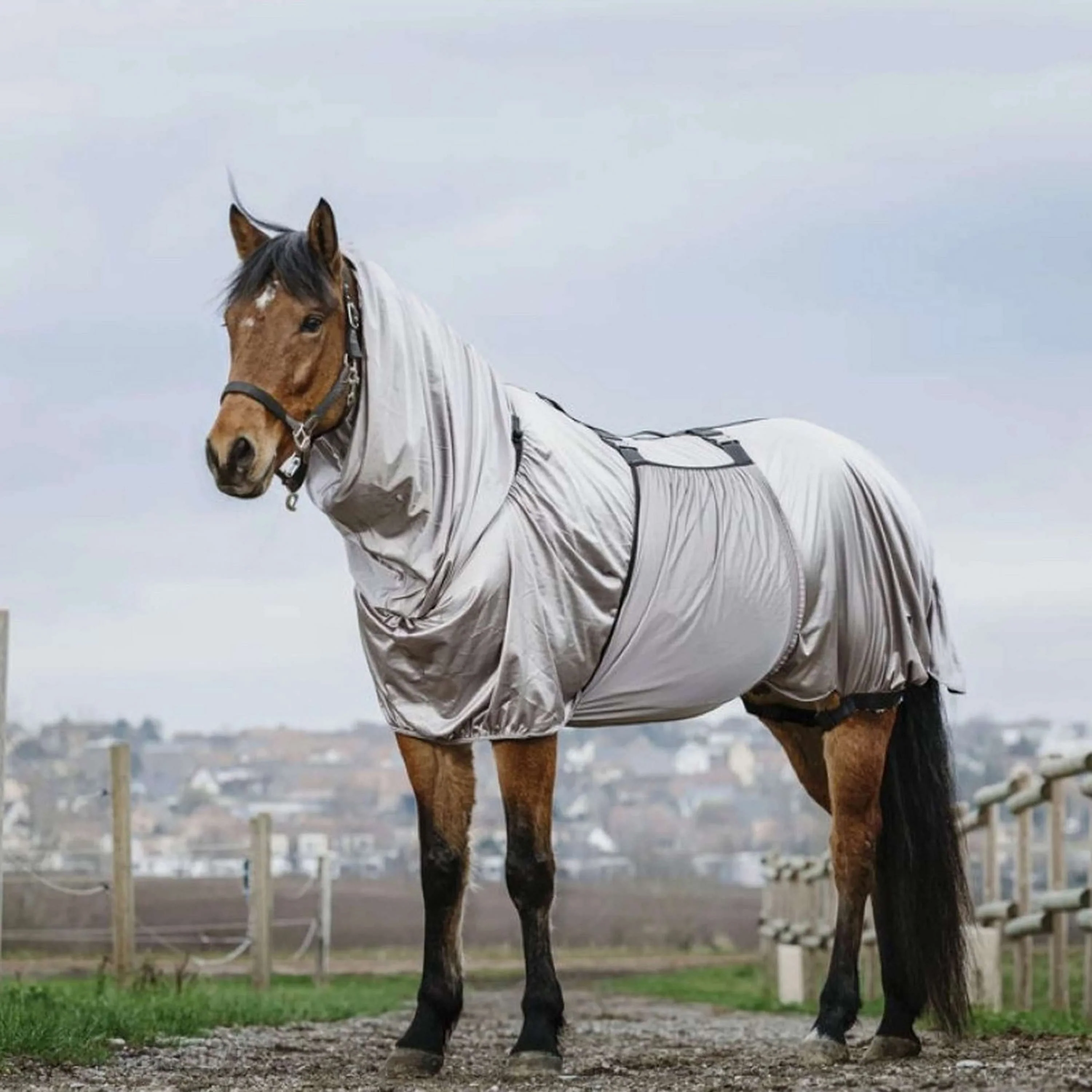Riding World Couverture Anti-Eczema Gris - Image 3