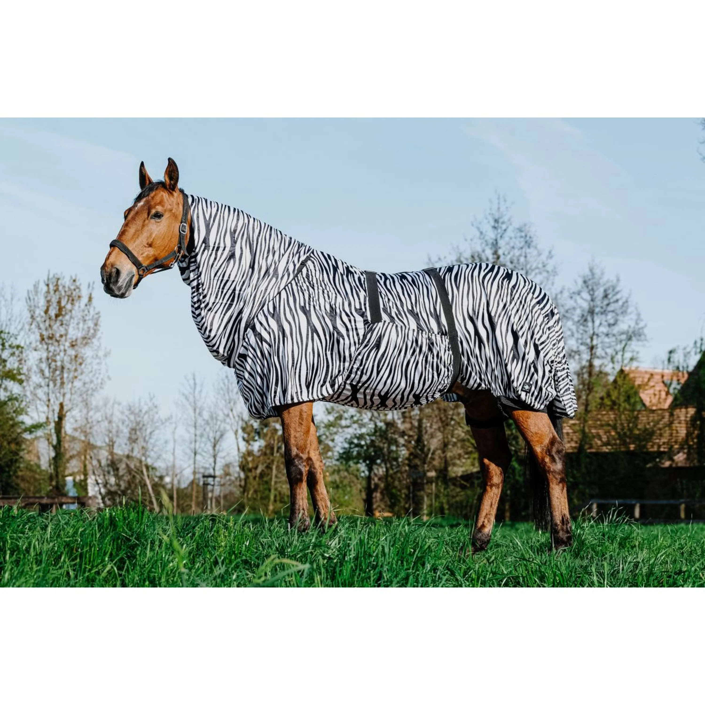Riding World Couverture Anti-Eczema Zebra - Image 2