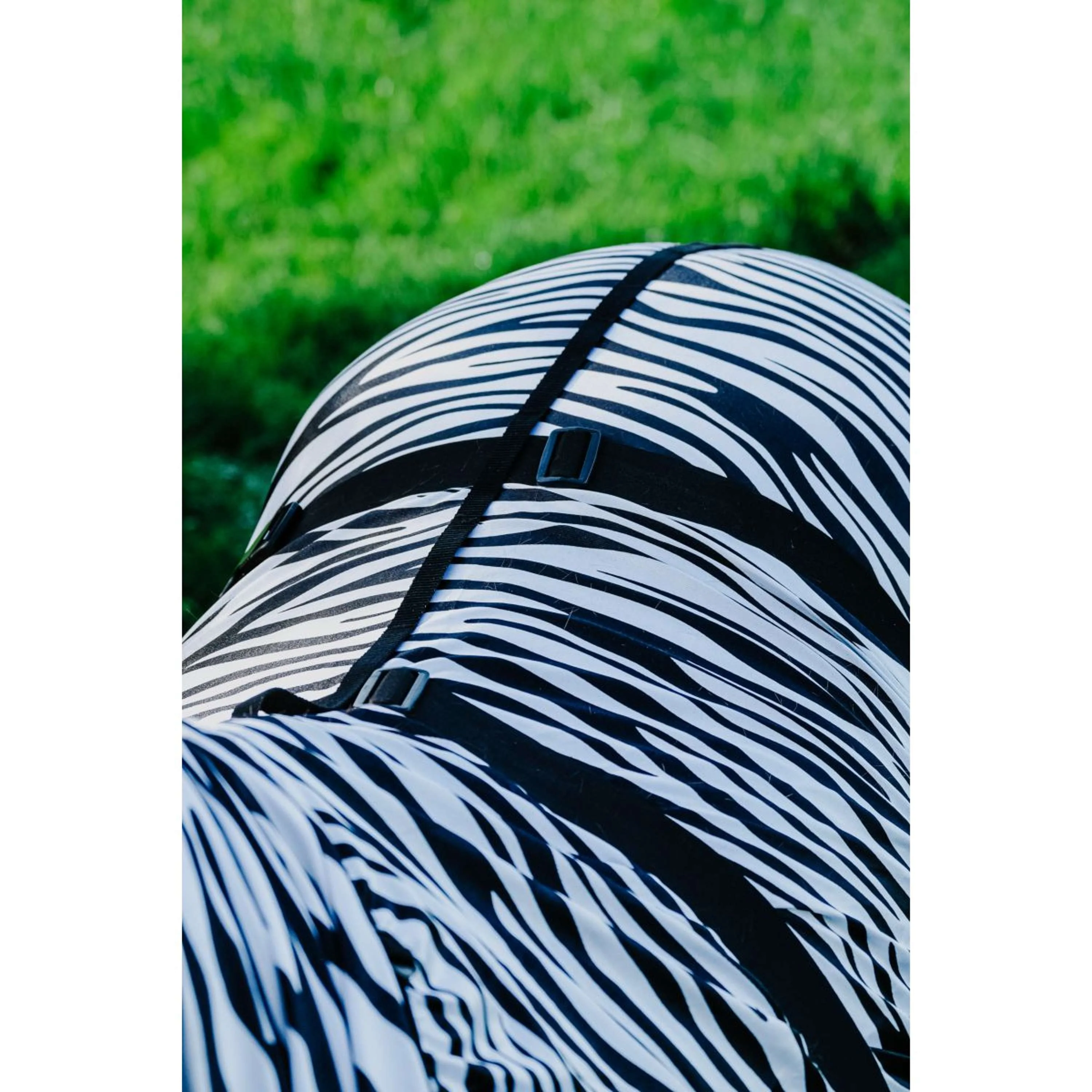 Riding World Couverture Anti-Eczema Zebra - Image 4