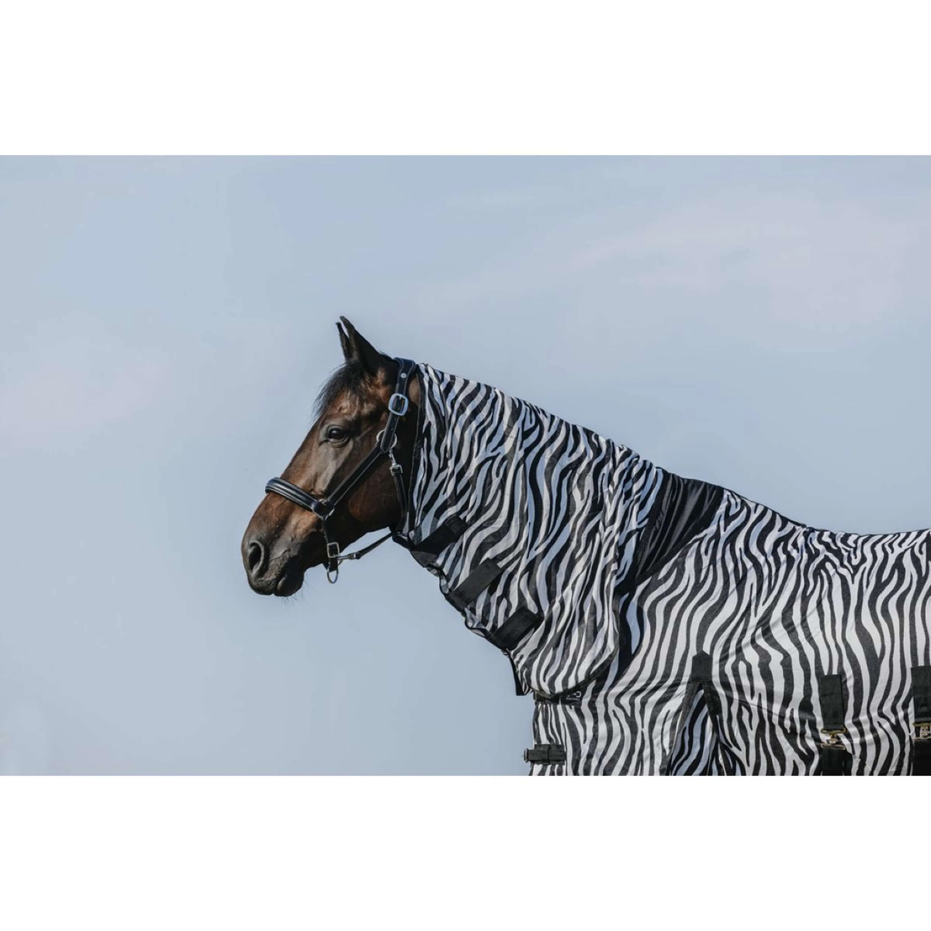 Riding World Couverture Anti-Mouches Belly Mesh Combo Zebra - Image 2