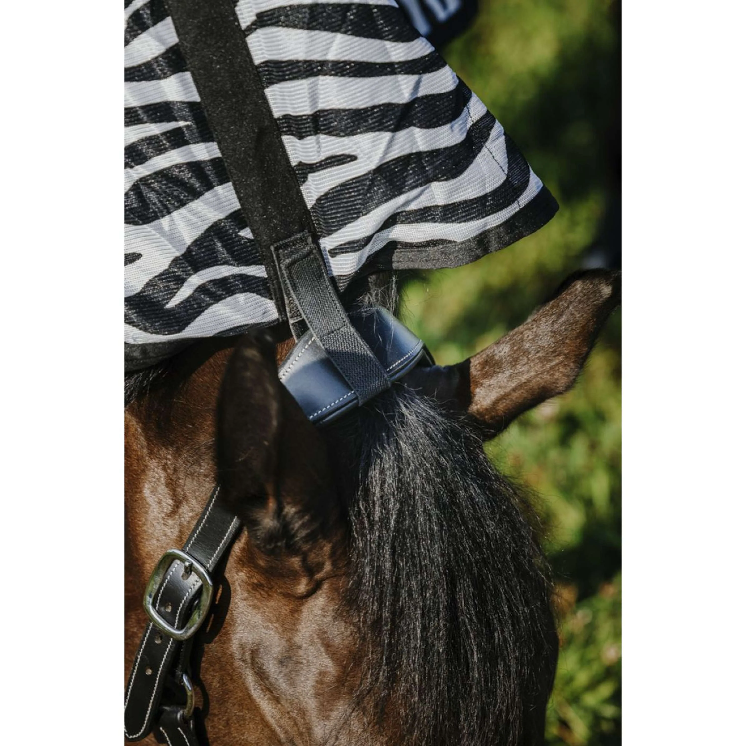 Riding World Couverture Anti-Mouches Belly Mesh Combo Zebra - Image 5