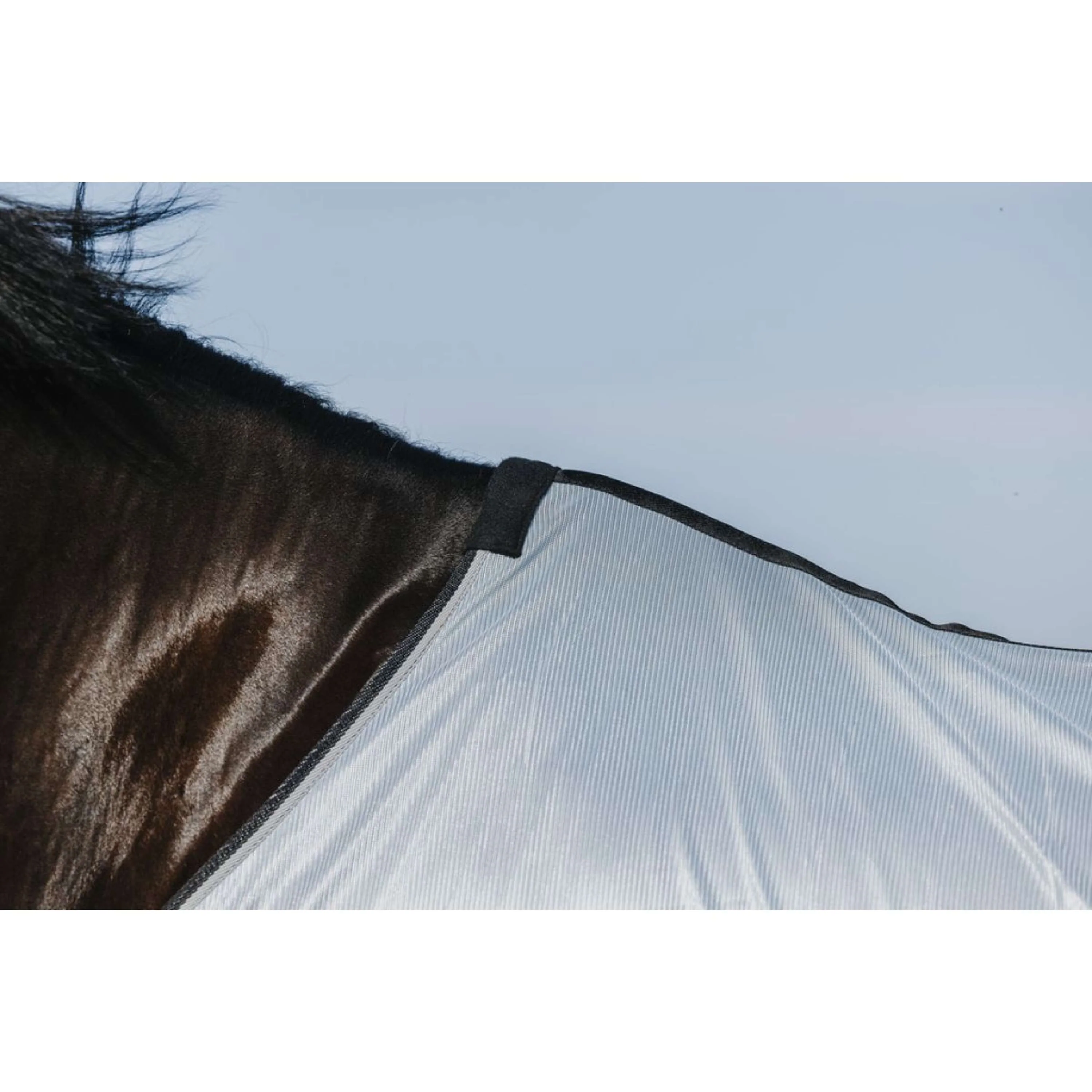 Riding World Couverture Anti-Mouches Belly Mesh Gris - Image 5