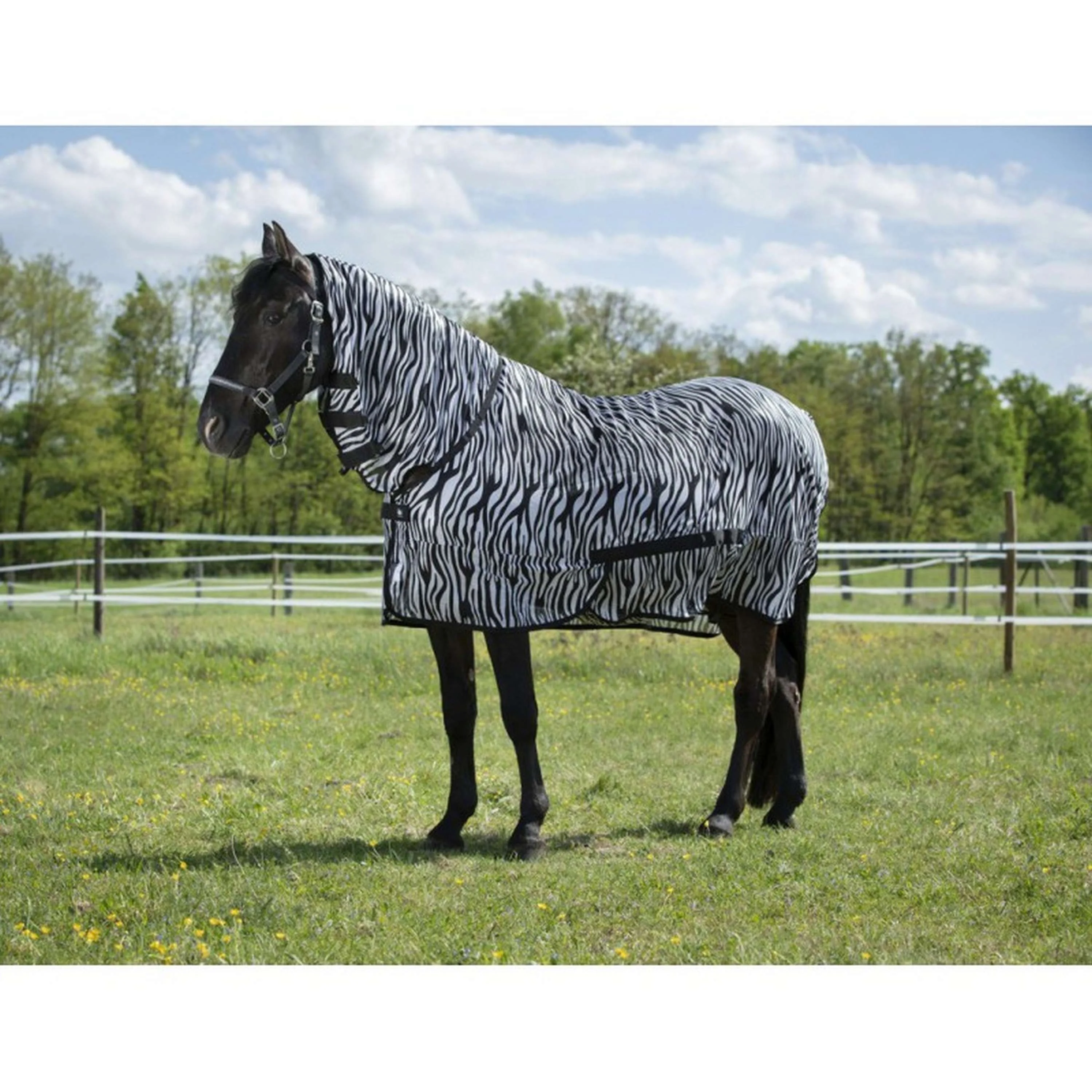 Riding World Couverture Anti-Mouches Combo Zebra - Image 10