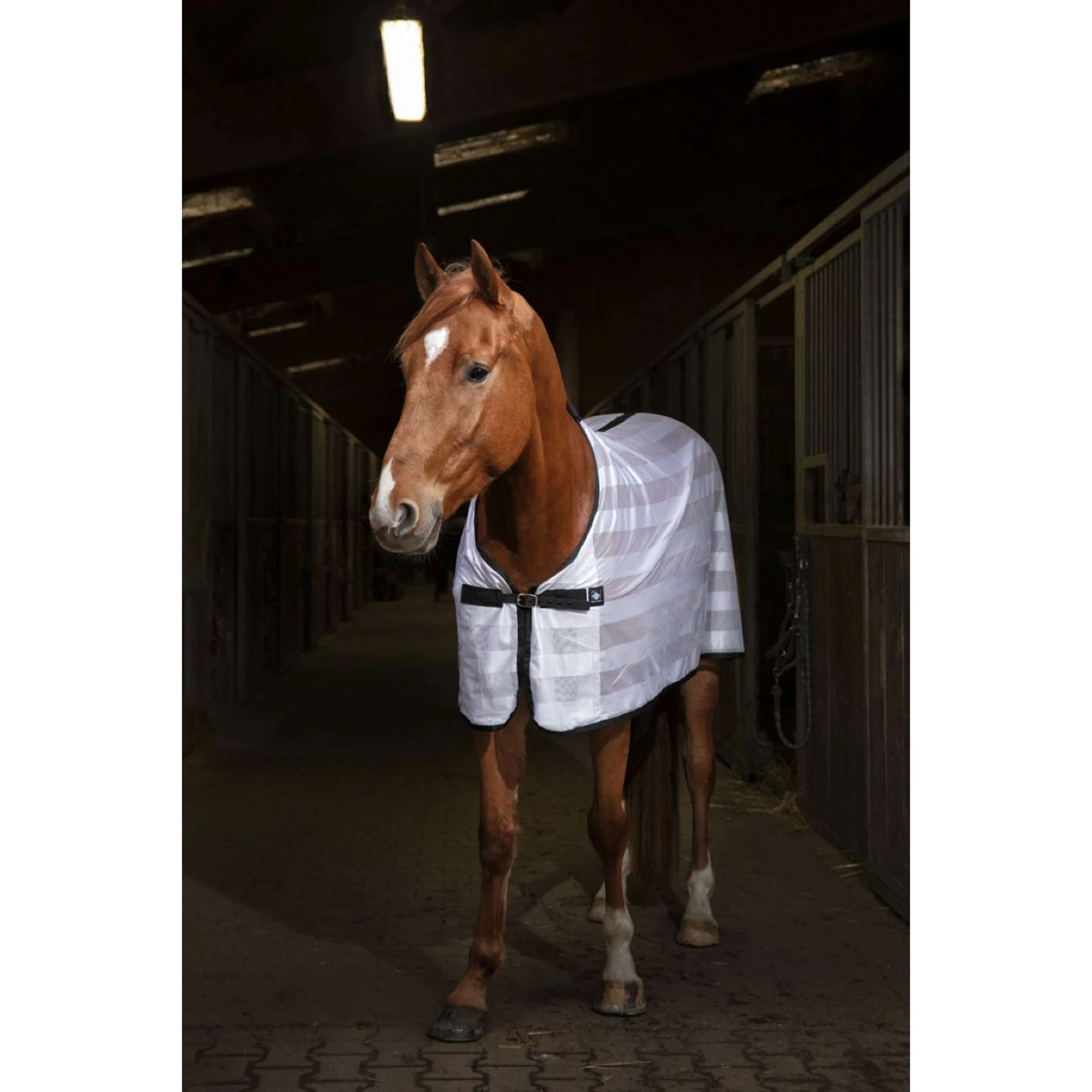 Riding World Couverture Anti-Mouches Mesh Blanc - Image 7