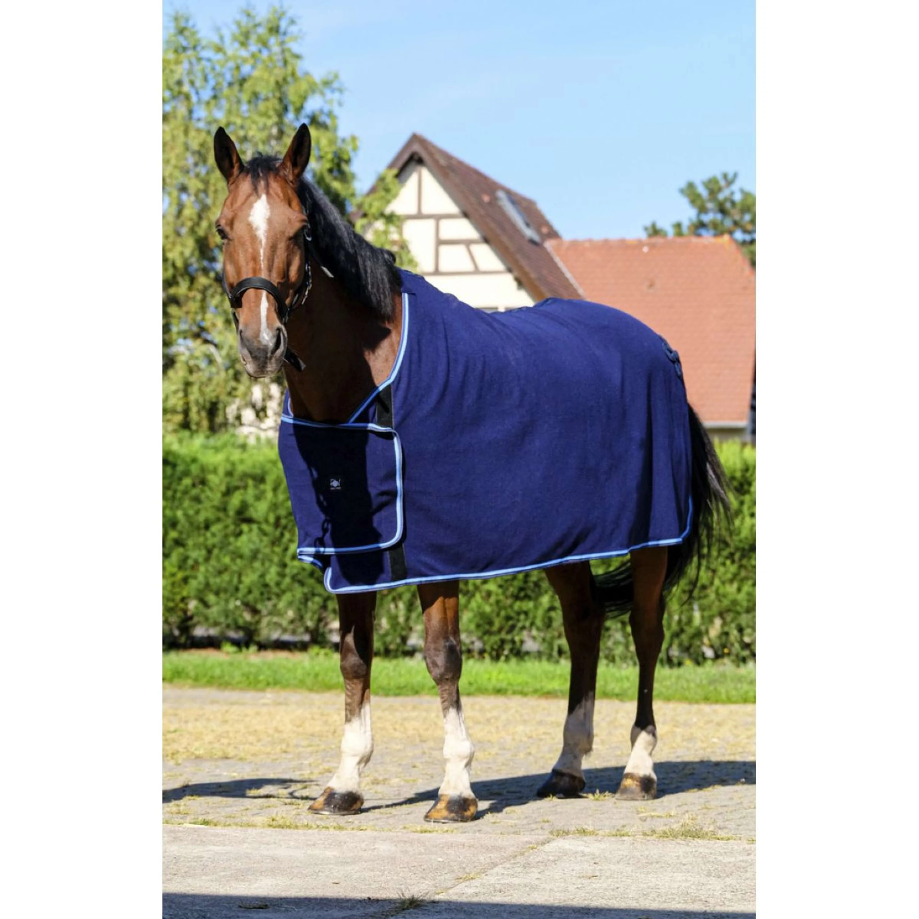 Riding World Couverture de Concours Marin - Image 2