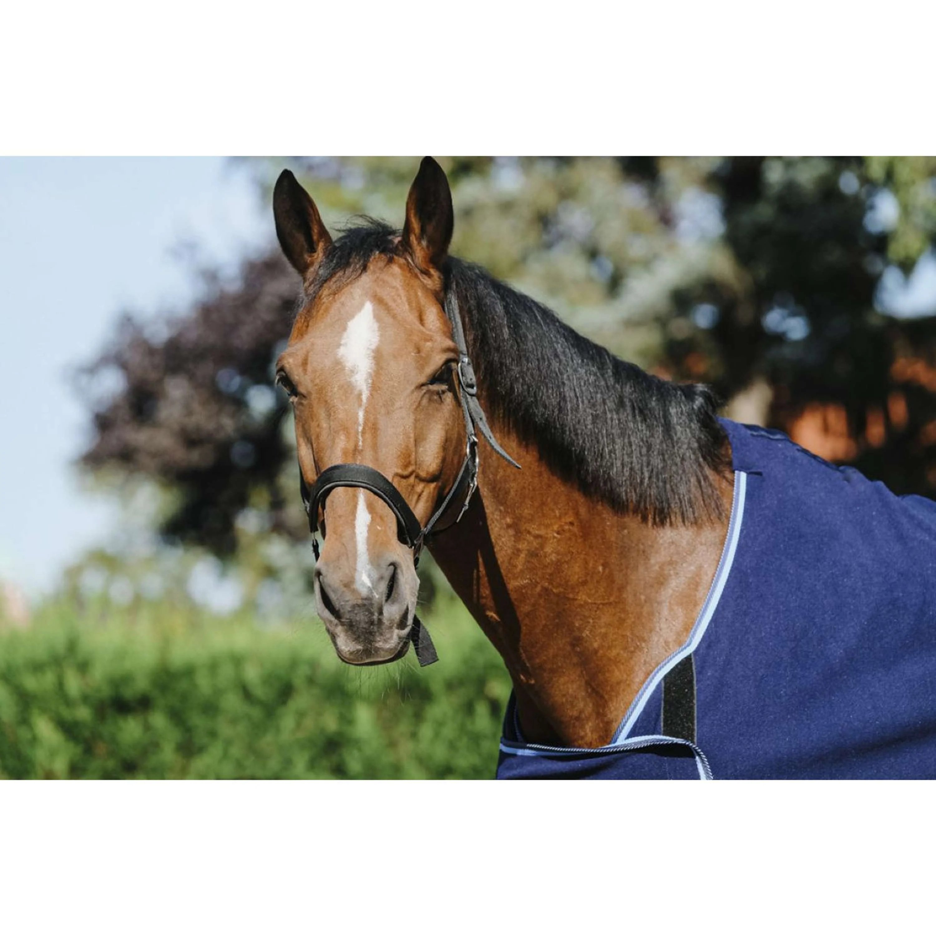 Riding World Couverture de Concours Marin - Image 3
