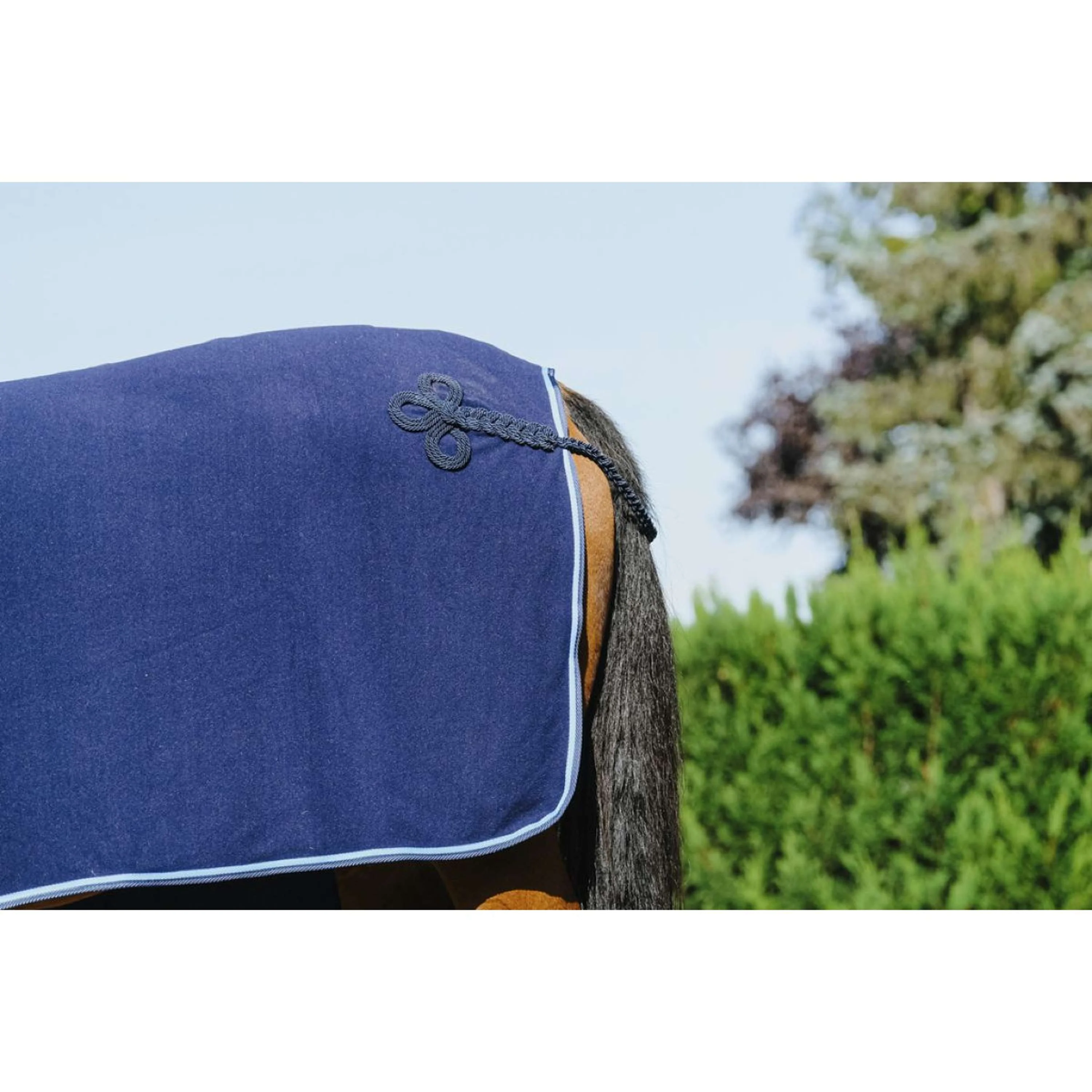 Riding World Couverture de Concours Marin - Image 5