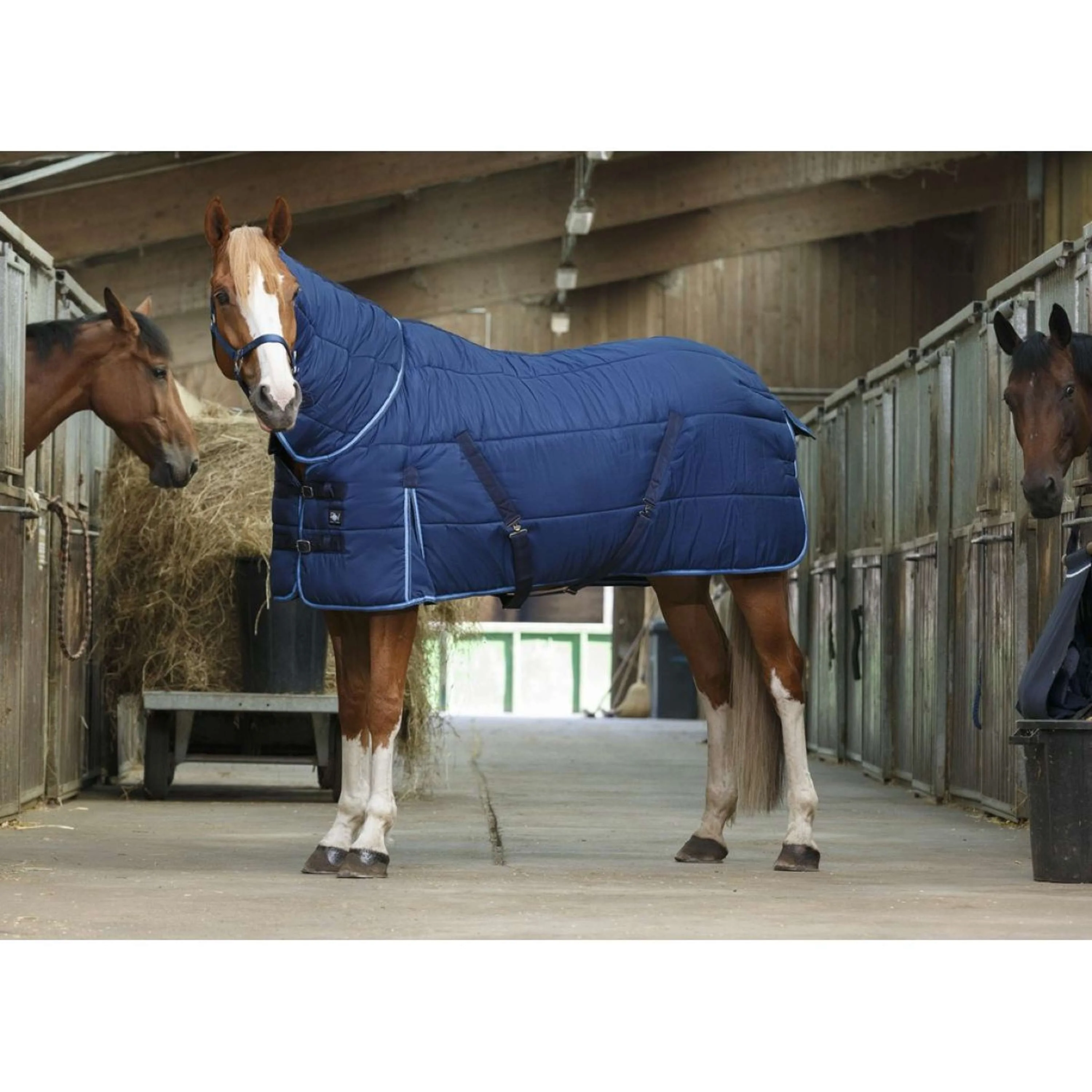 Riding World Couverture d'Écurie Combo Bleu - Image 10