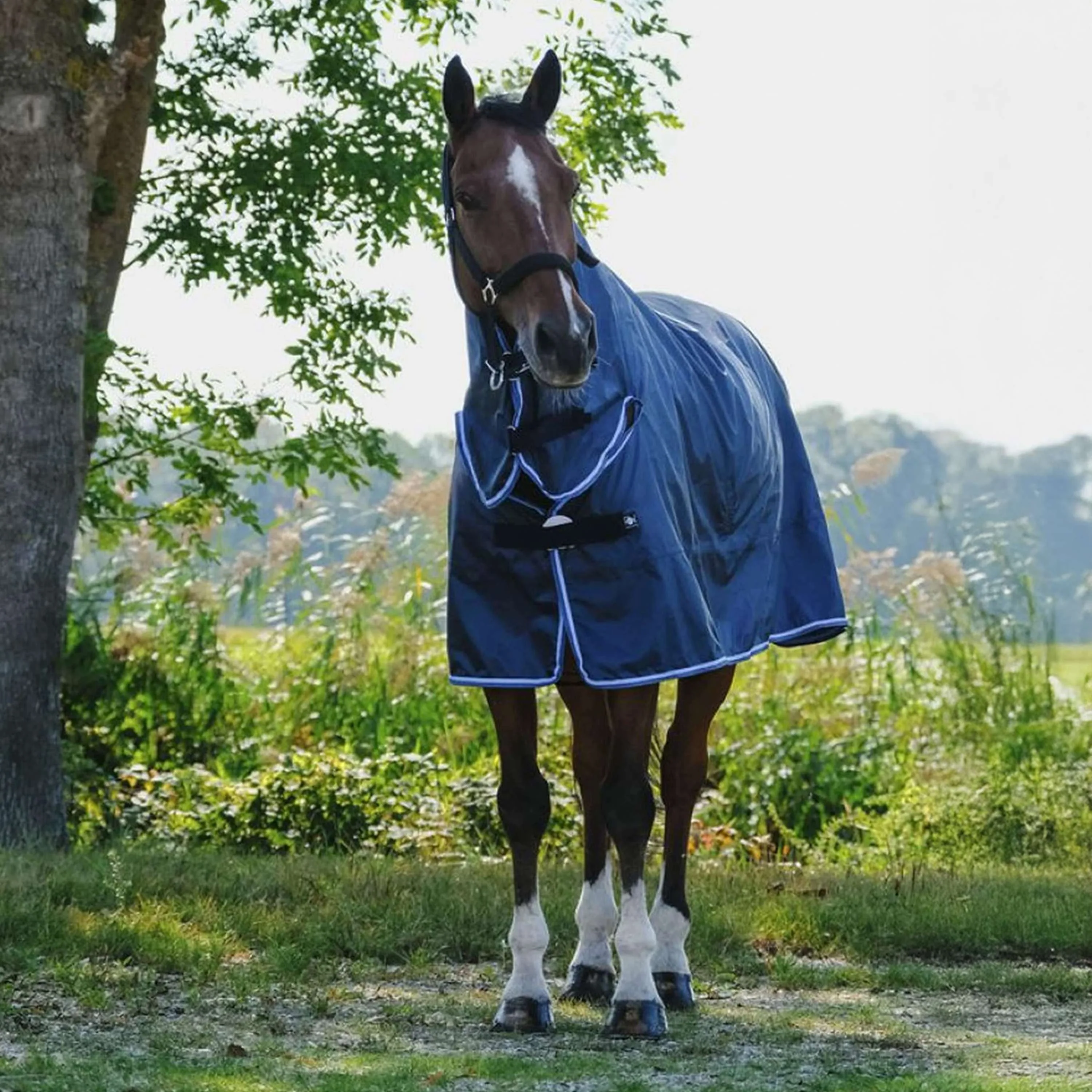 Riding World Couverture Imperméable Combo 0g Marin - Image 2