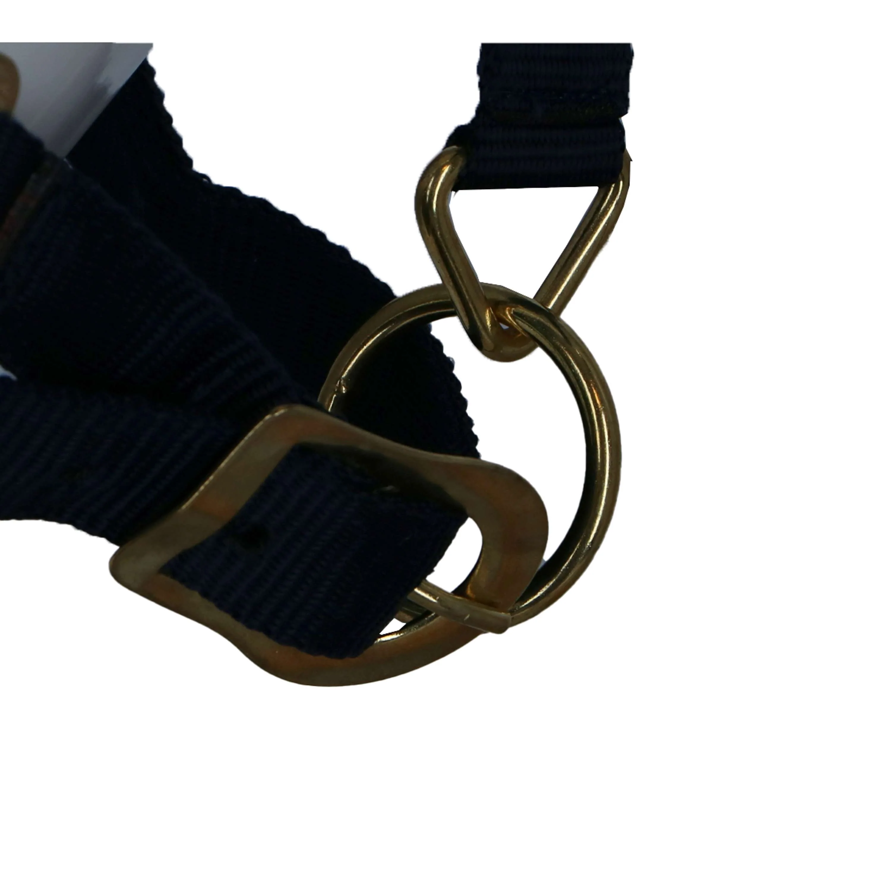 Riding World Licol Noir - Image 4