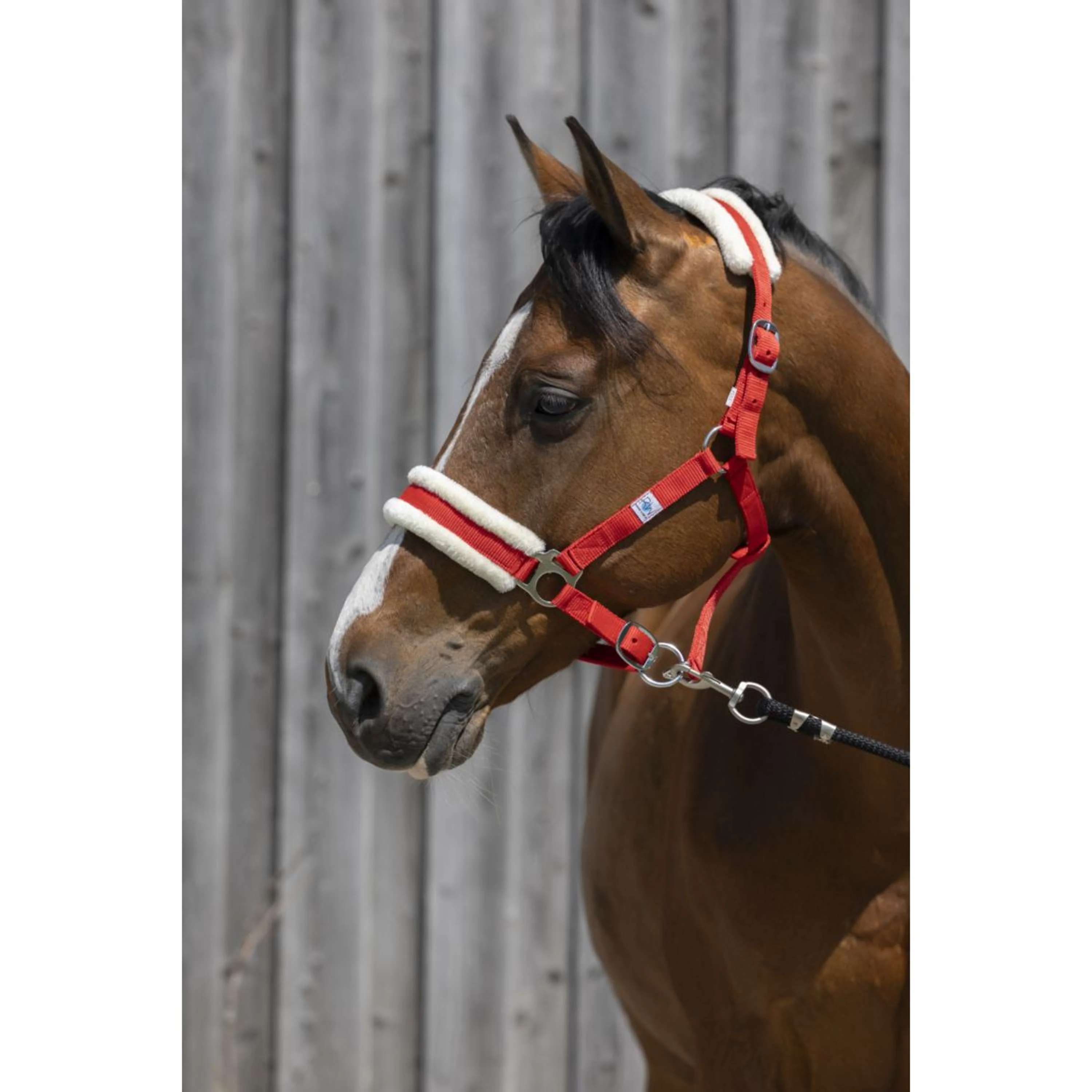 Riding World Licol Synthetic Fur Rouge - Image 2
