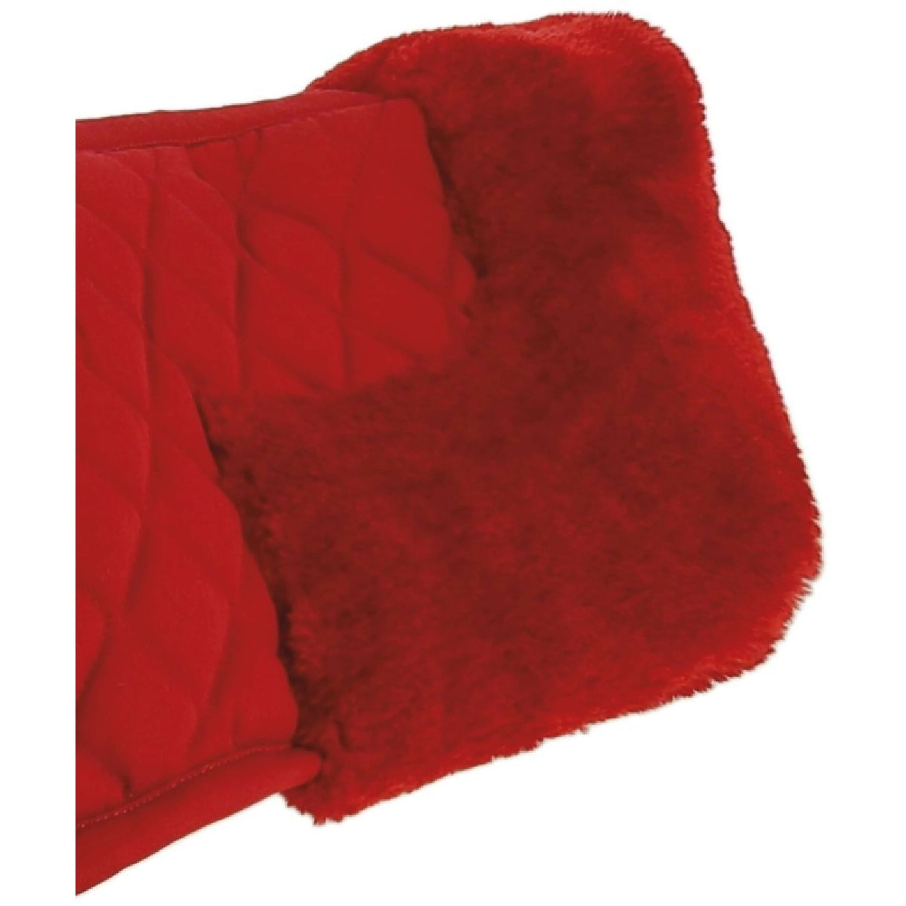 Riding World Sous-Bande Rouge - Image 4