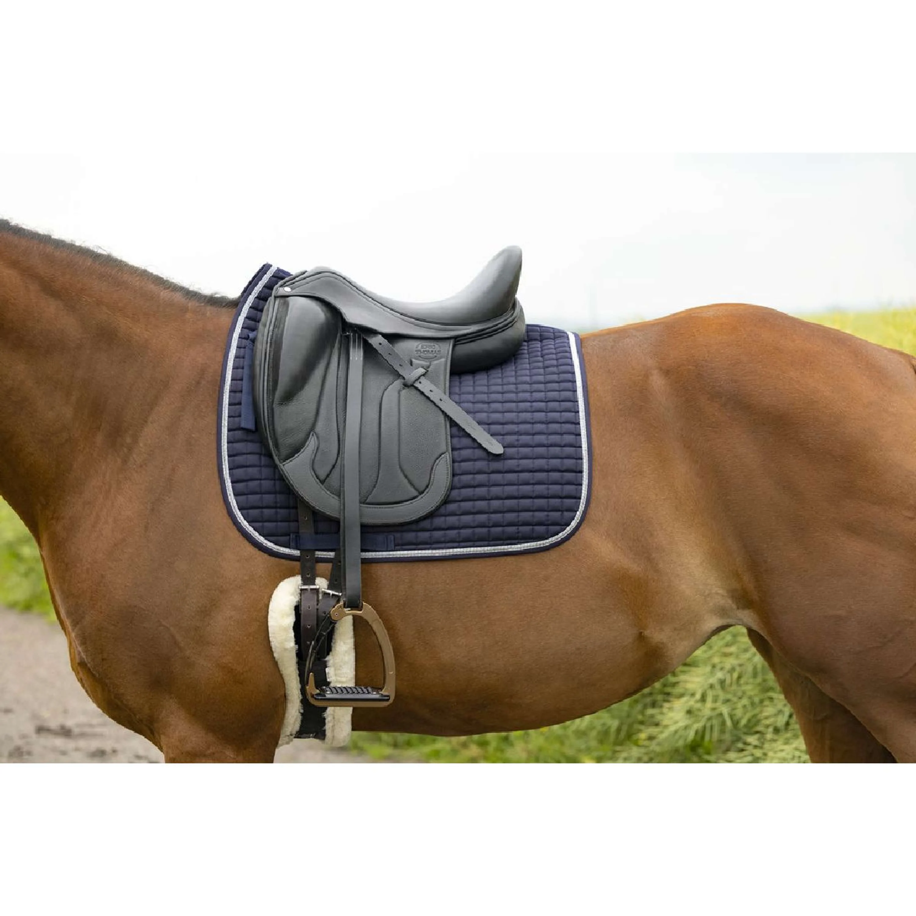 Riding World Tapis de Selle Girly Dressage Marin - Image 2