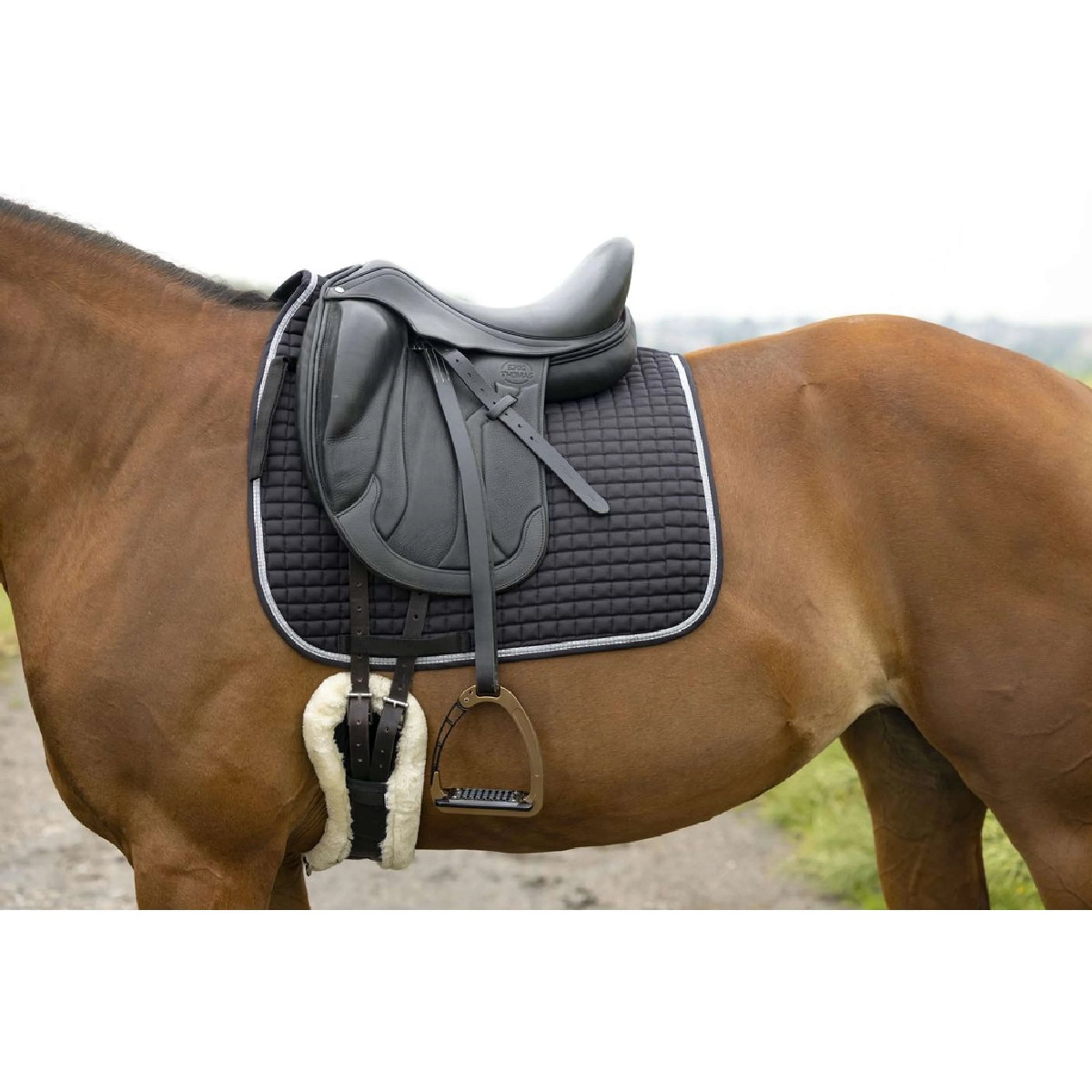 Riding World Tapis de Selle Girly Dressage Noir - Image 2