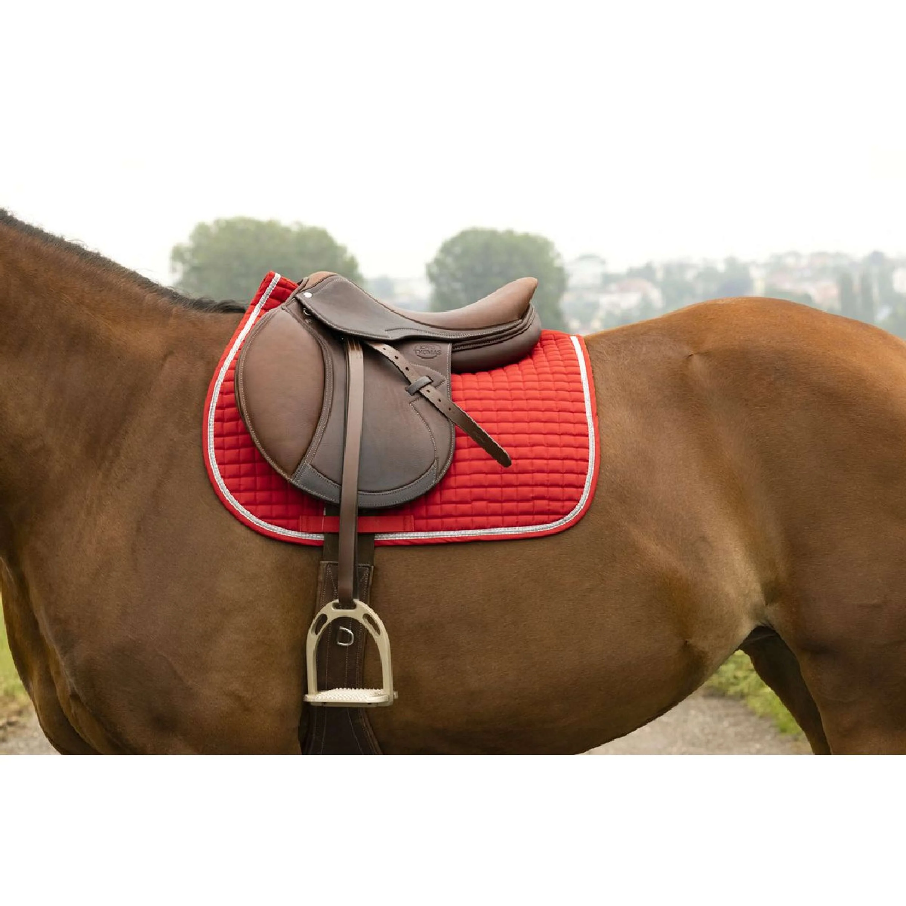 Riding World Tapis de Selle Girly Rouge - Image 2