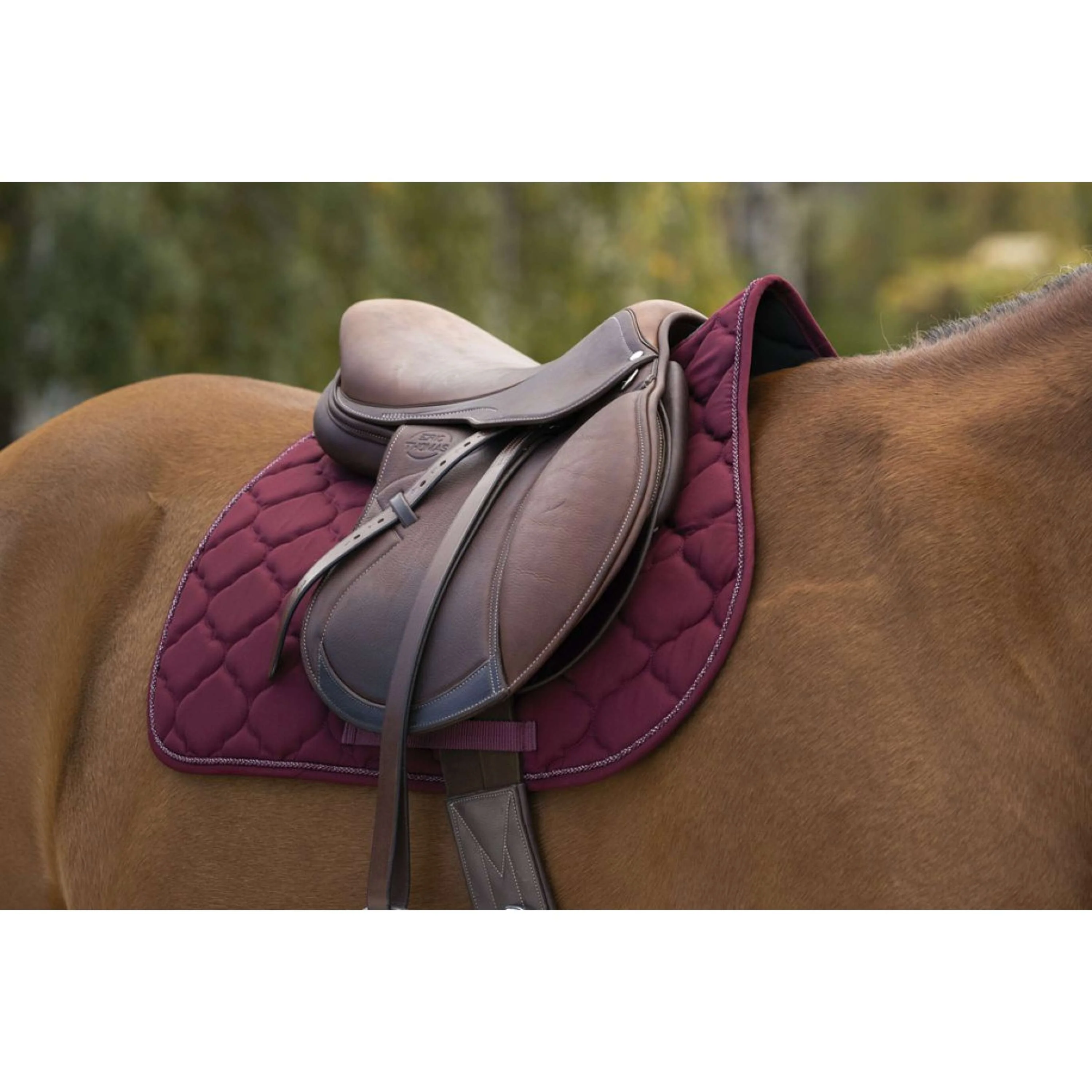Riding World Tapis de Selle Rope Bordeaux - Image 2